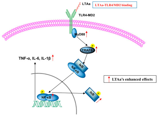 Development of a Highly Efficient Hybrid Peptide That