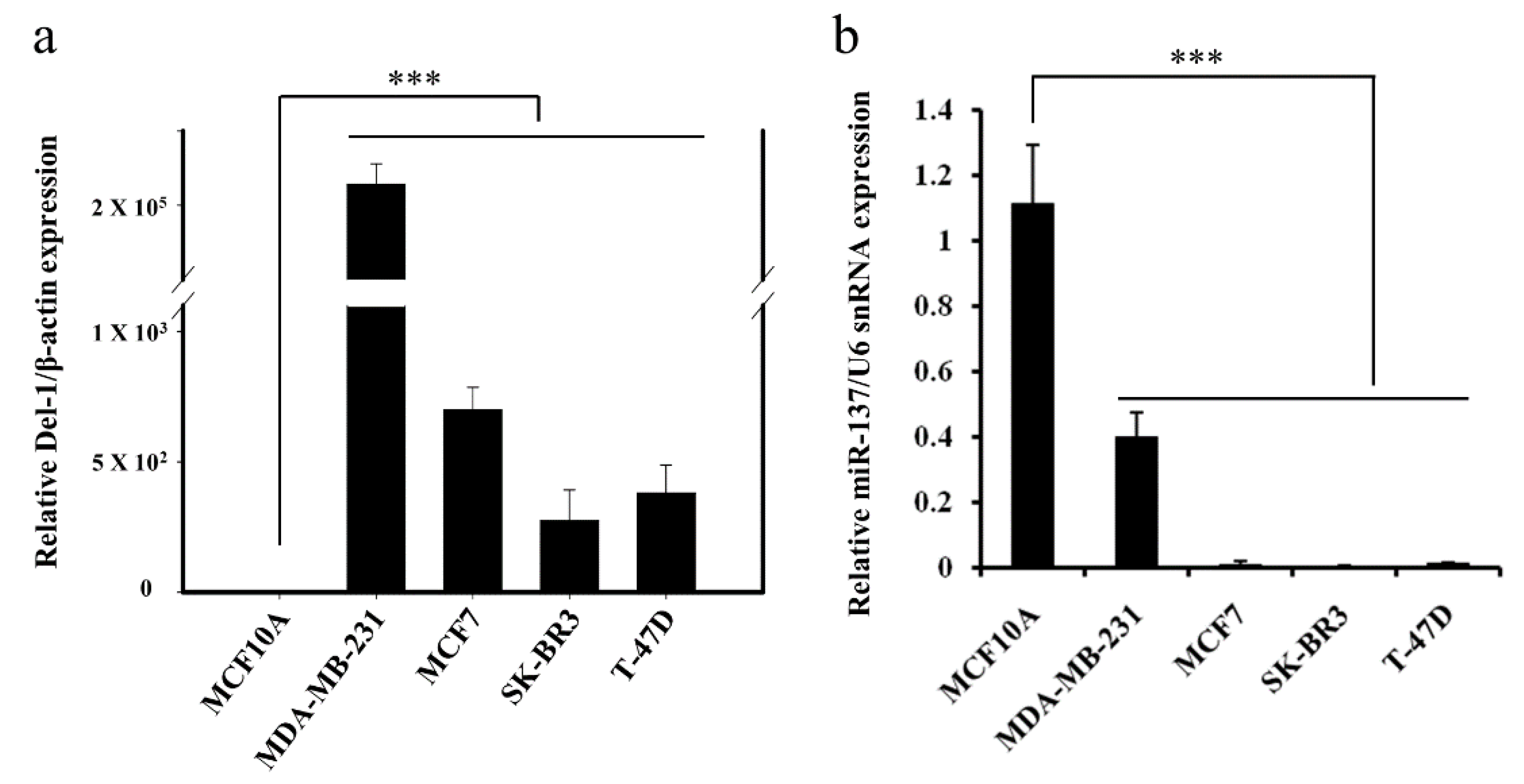 Ijms 20 06162 g001 Ijms 20 06162 g001