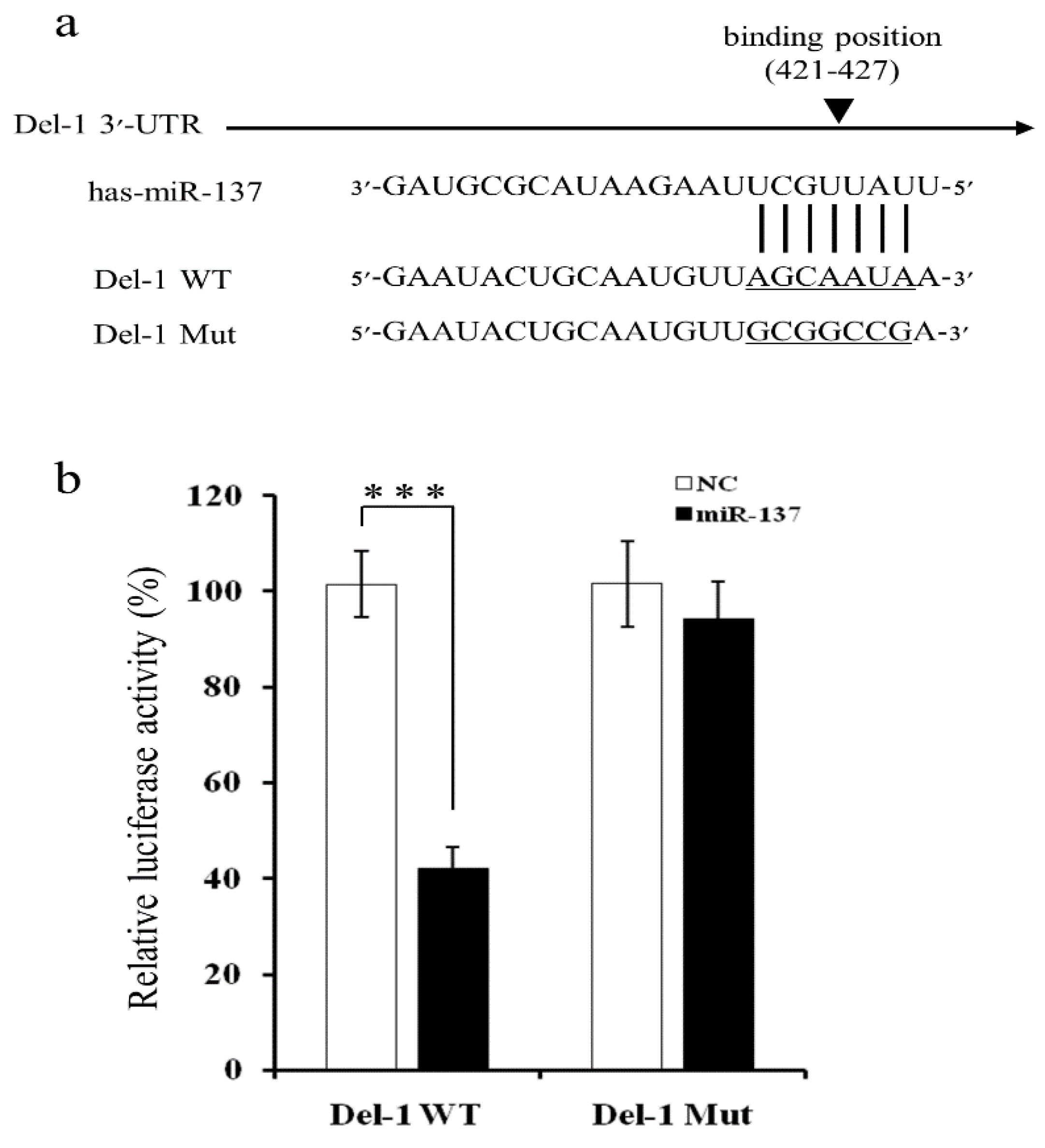 Ijms 20 06162 g002 Ijms 20 06162 g002