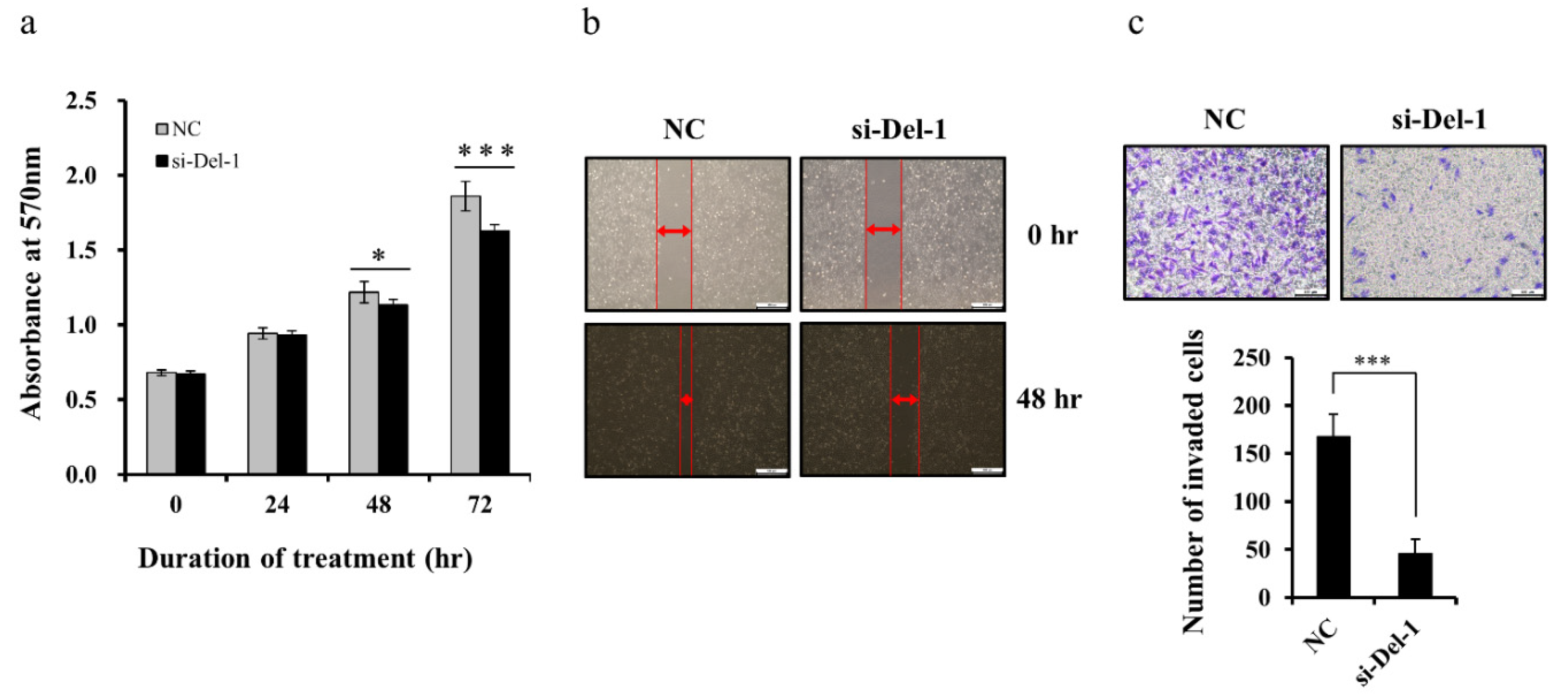 Ijms 20 06162 g005 Ijms 20 06162 g005