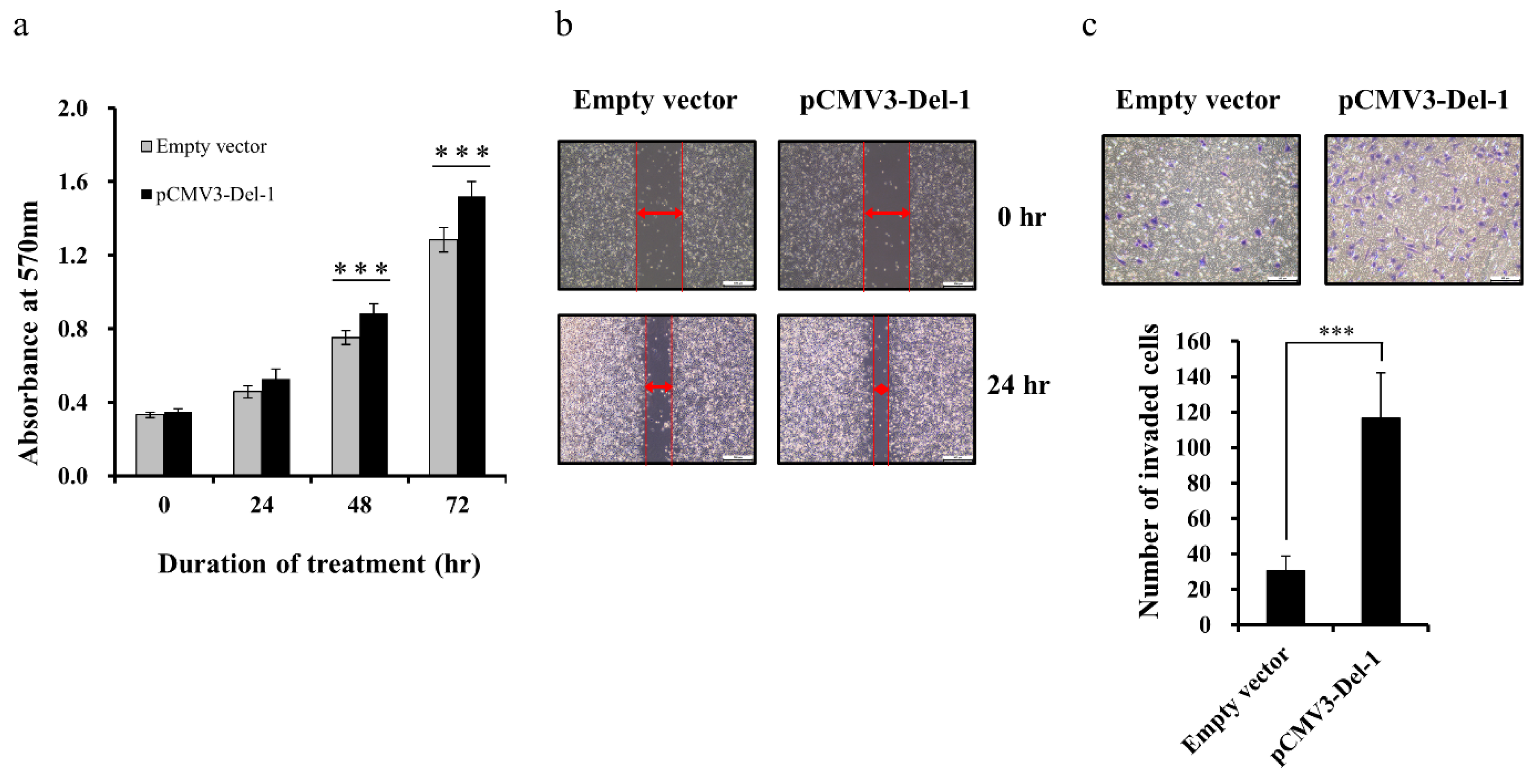 Ijms 20 06162 g006 Ijms 20 06162 g006