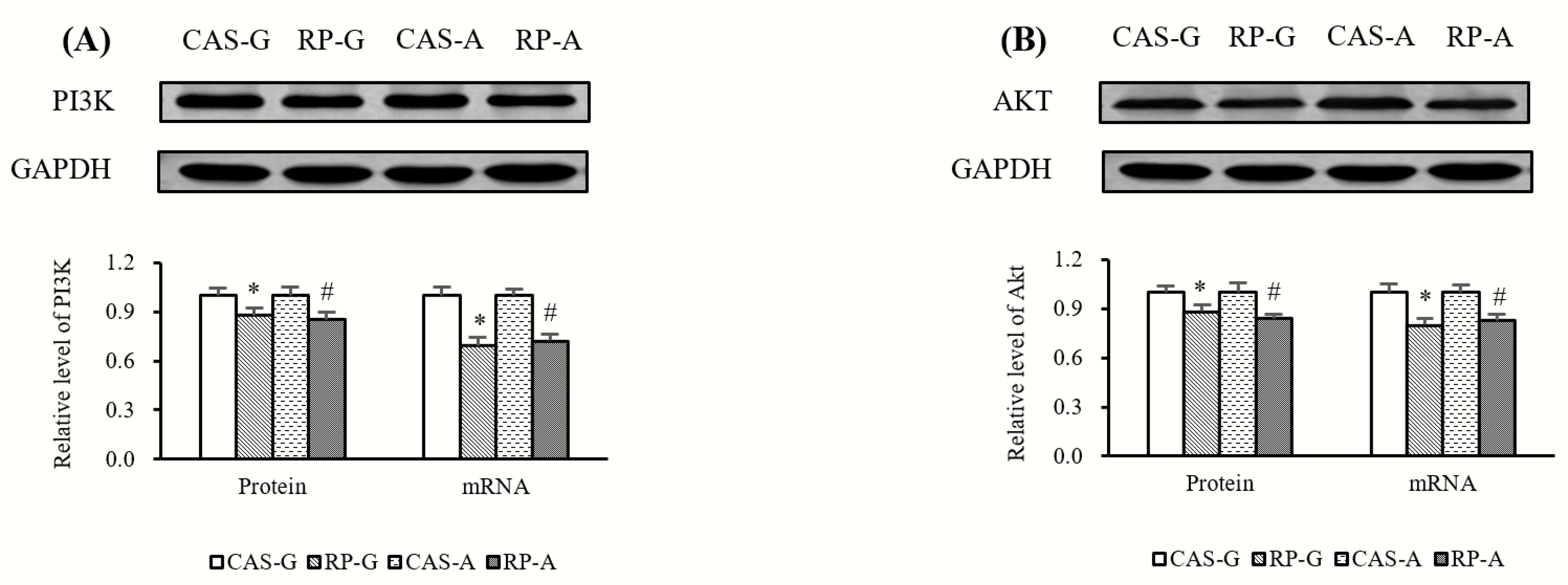 Ijms 20 06164 g004 Ijms 20 06164 g004