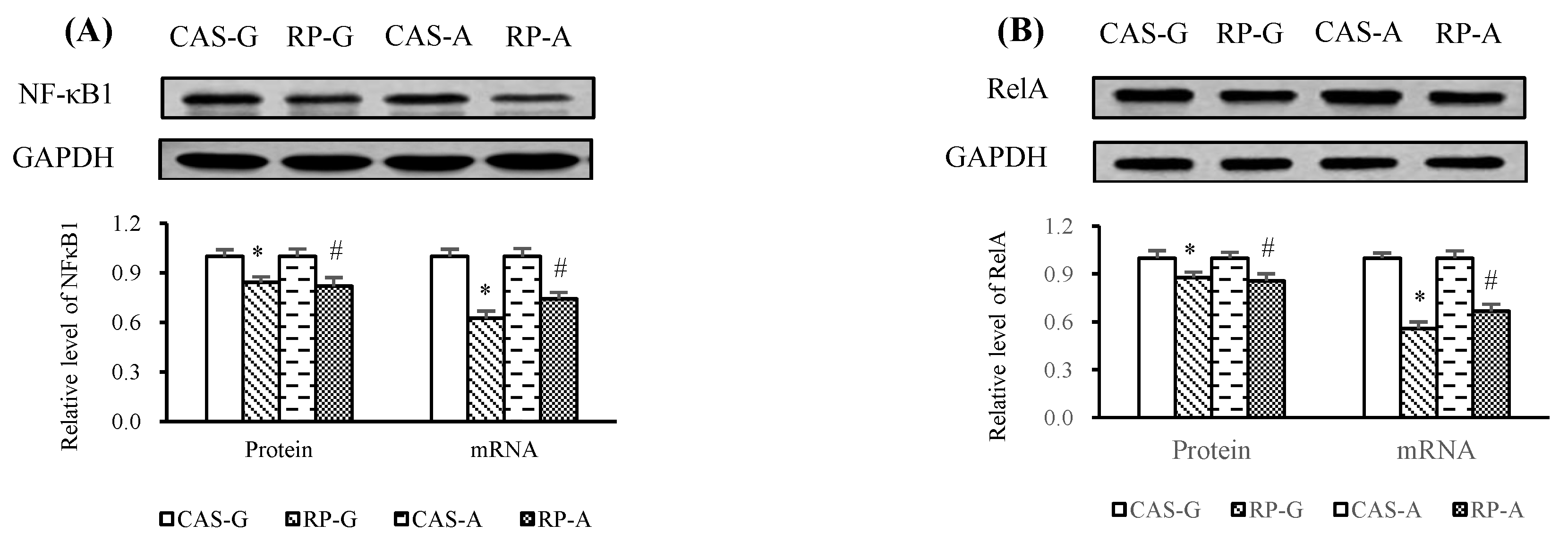Ijms 20 06164 g005 Ijms 20 06164 g005