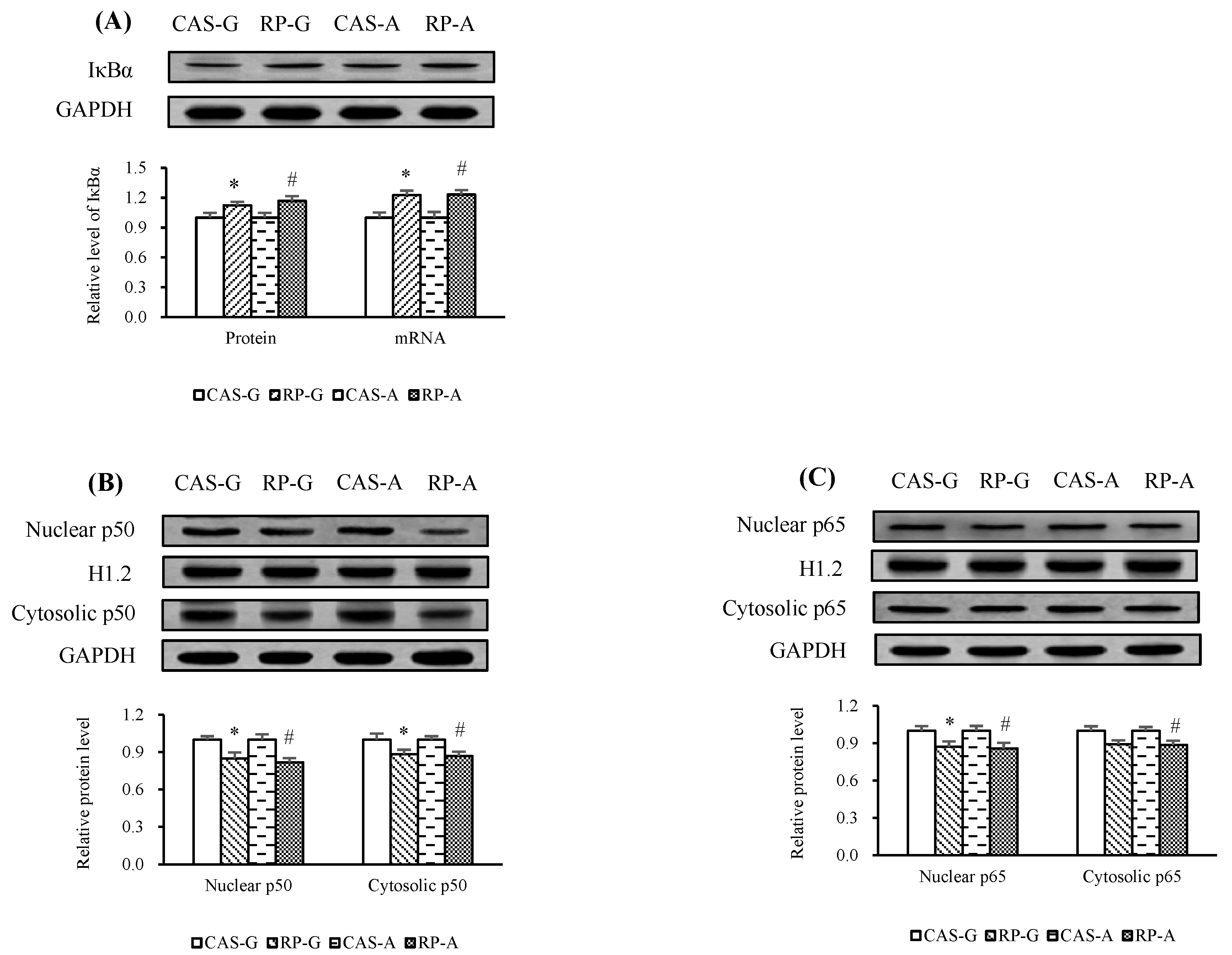 Ijms 20 06164 g006 Ijms 20 06164 g006