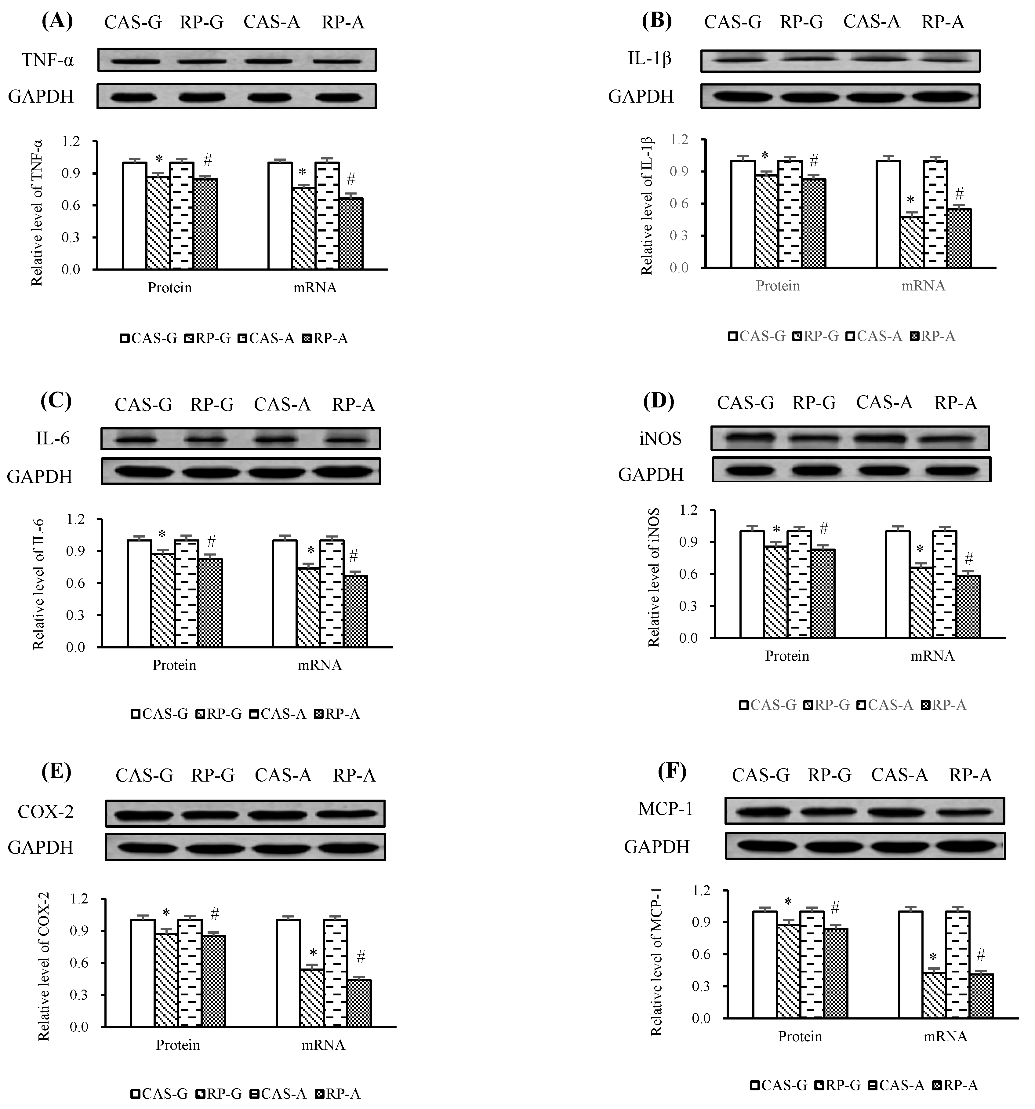 Ijms 20 06164 g007 Ijms 20 06164 g007