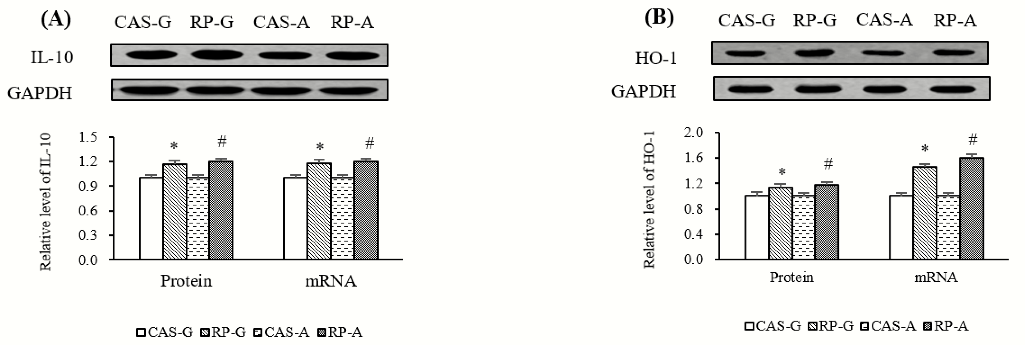 Ijms 20 06164 g008 Ijms 20 06164 g008