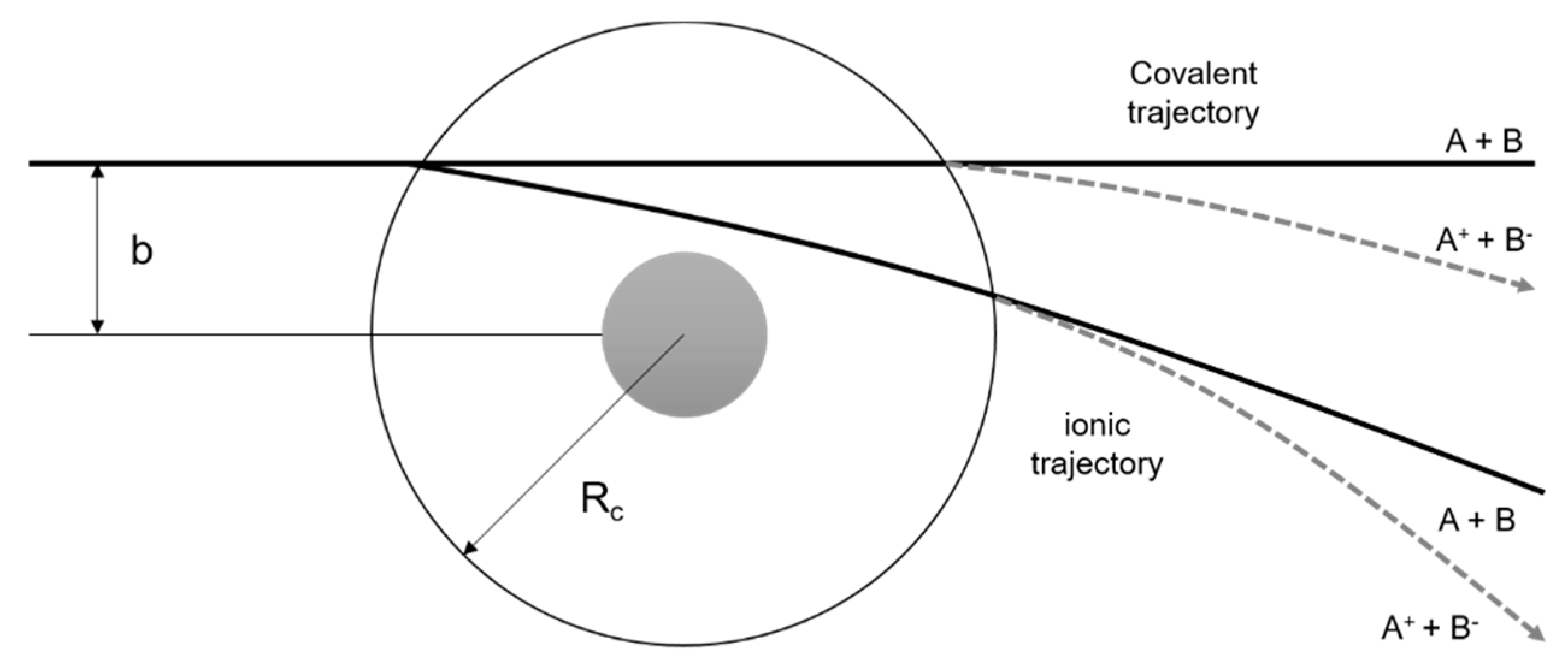 Ijms 20 06170 g011 Ijms 20 06170 g011