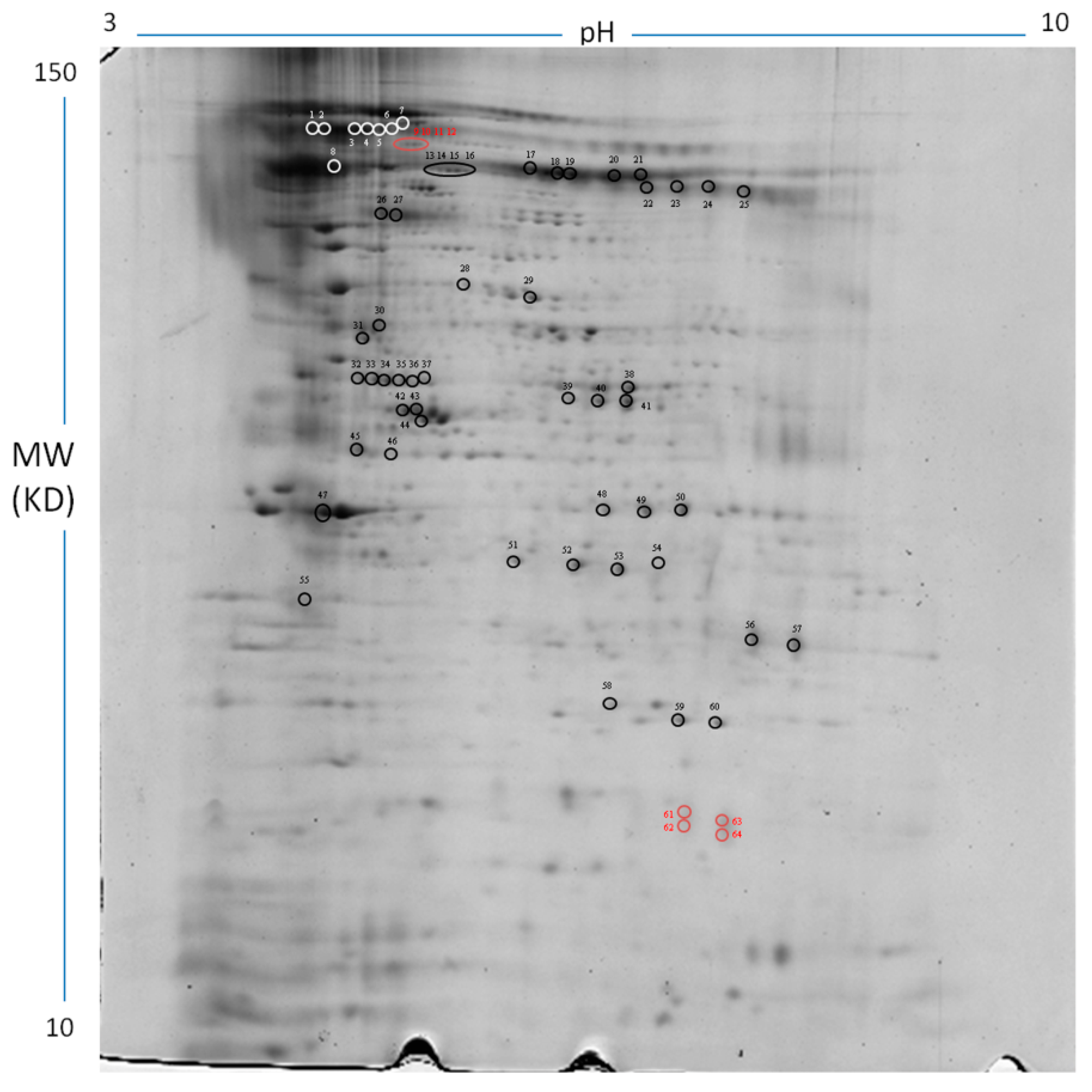 Ijms 20 06179 g001 Ijms 20 06179 g001