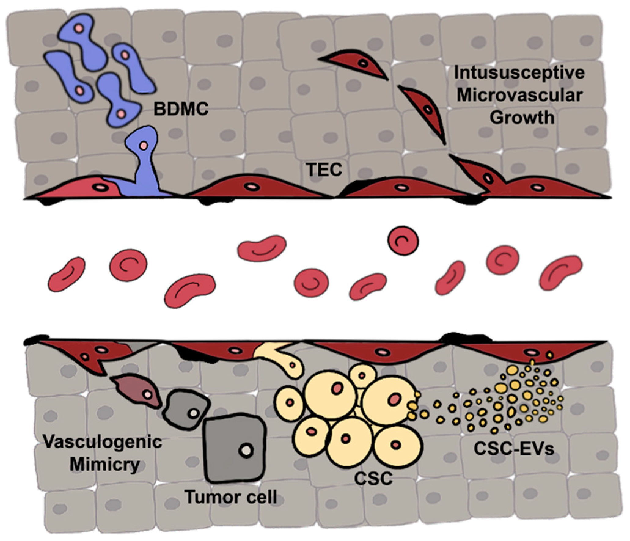 Ijms 20 06180 g001 Ijms 20 06180 g001
