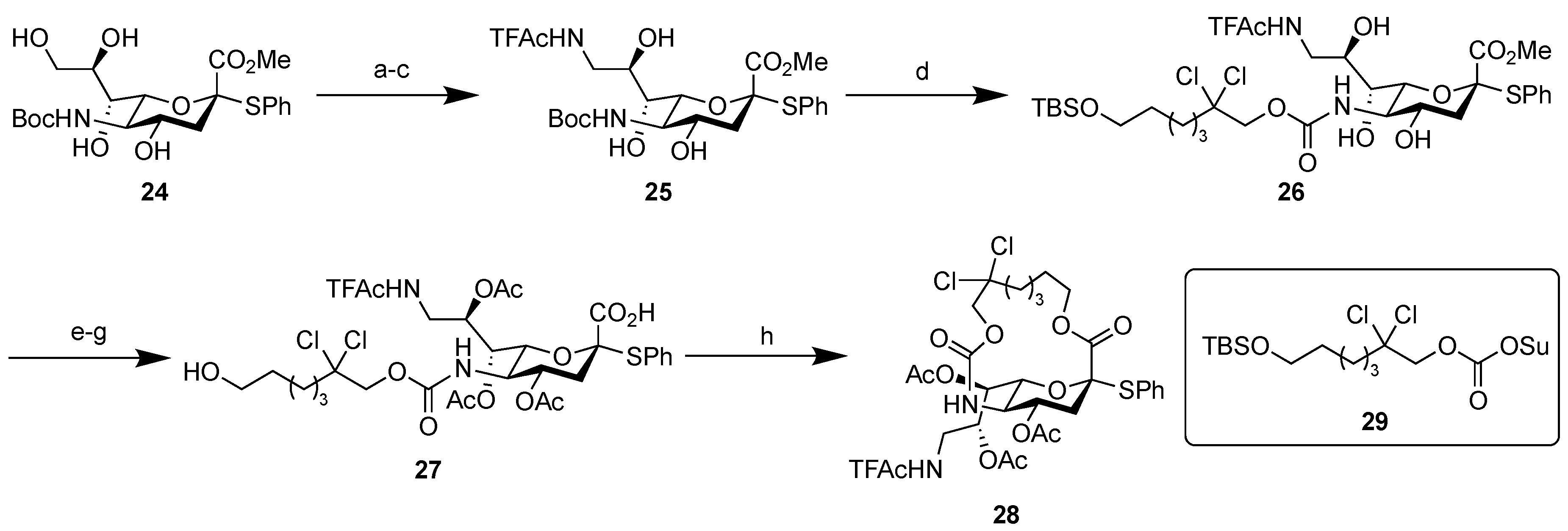 Ijms 20 06187 sch004