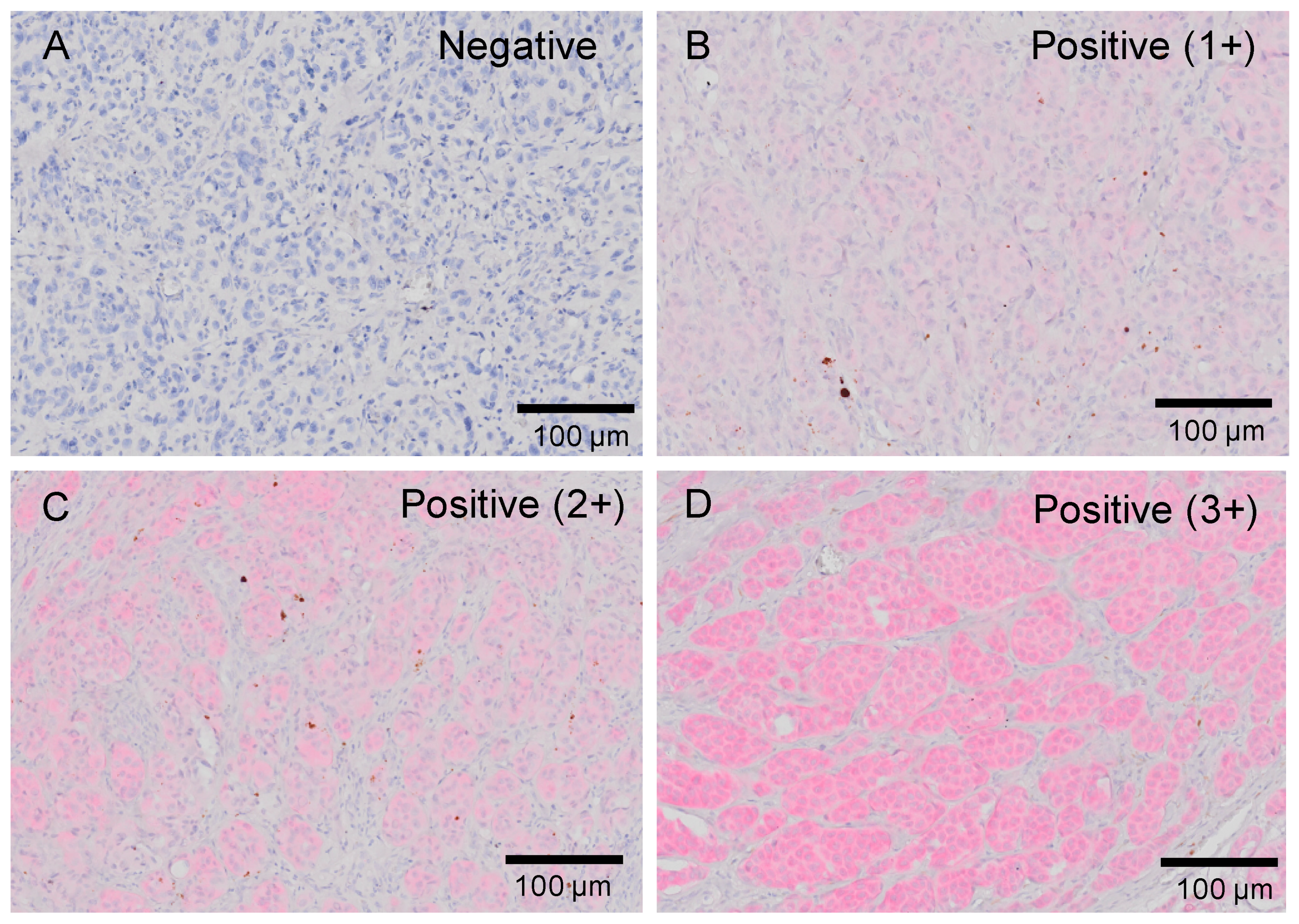 Ijms 20 06191 g001 Ijms 20 06191 g001