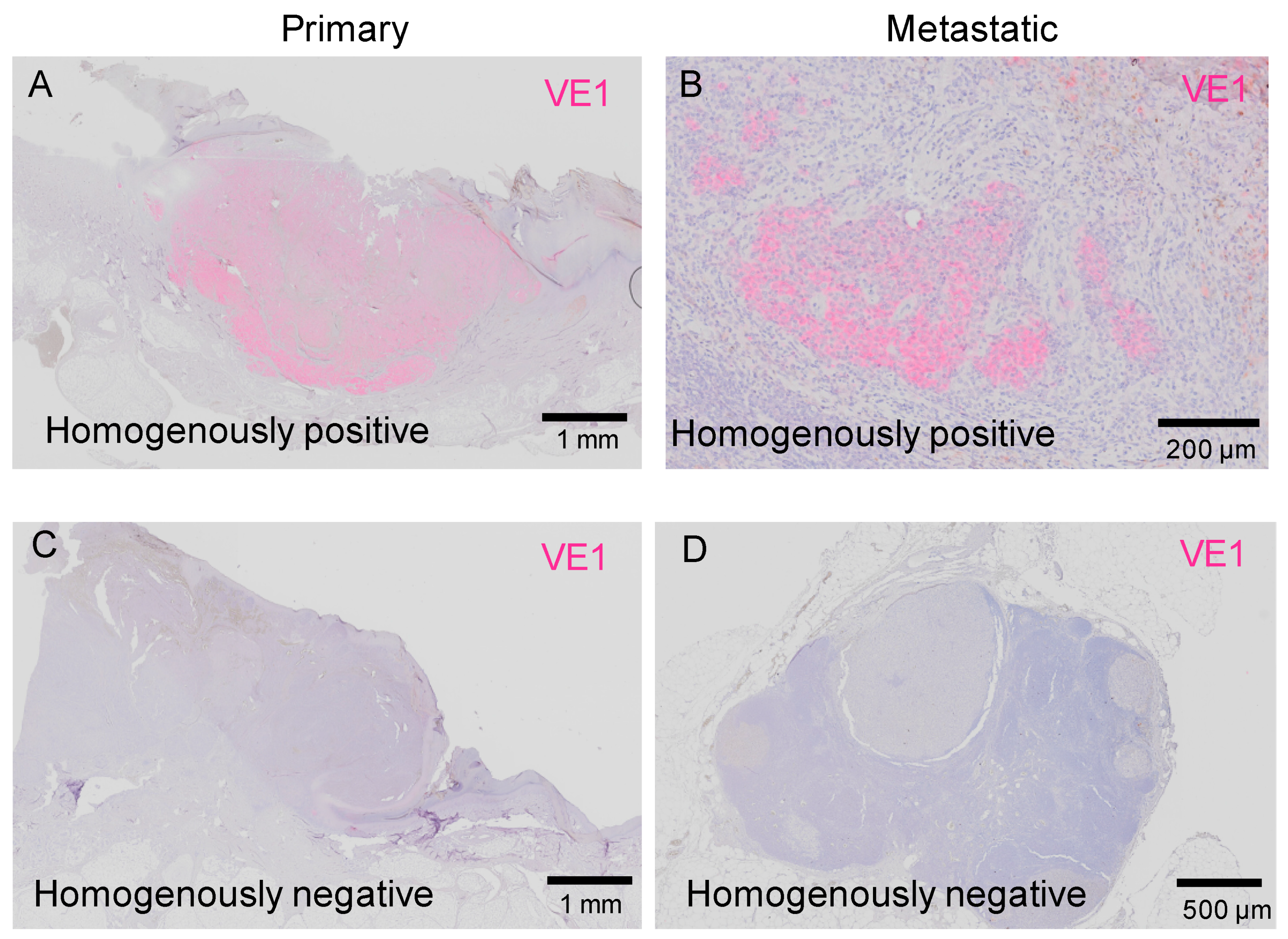 Ijms 20 06191 g002 Ijms 20 06191 g002