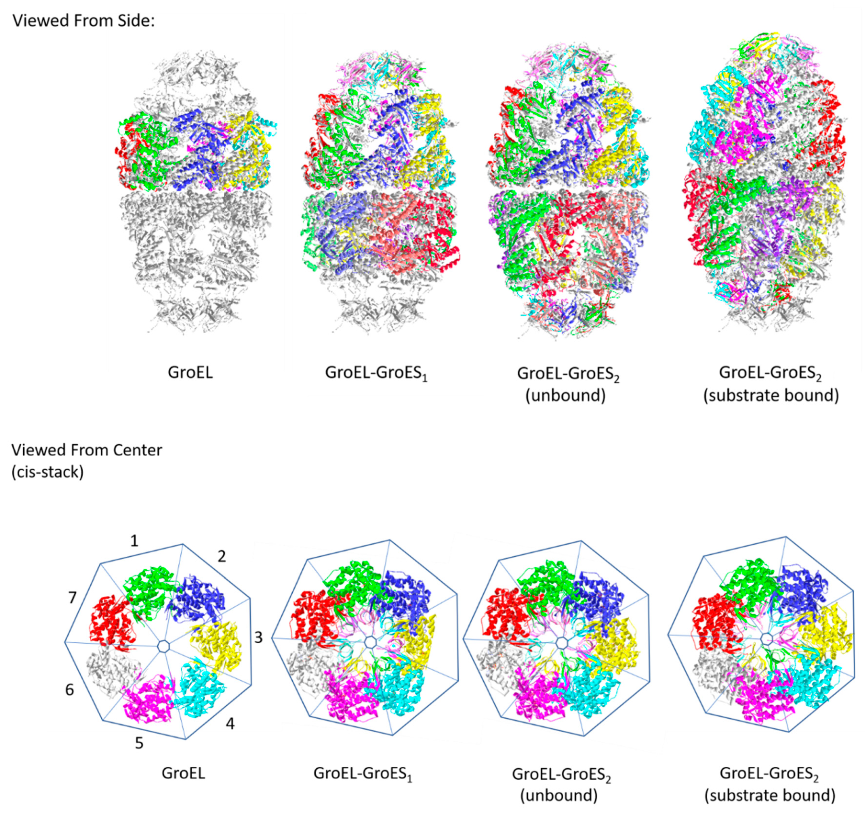 Ijms 20 06195 g001 Ijms 20 06195 g001