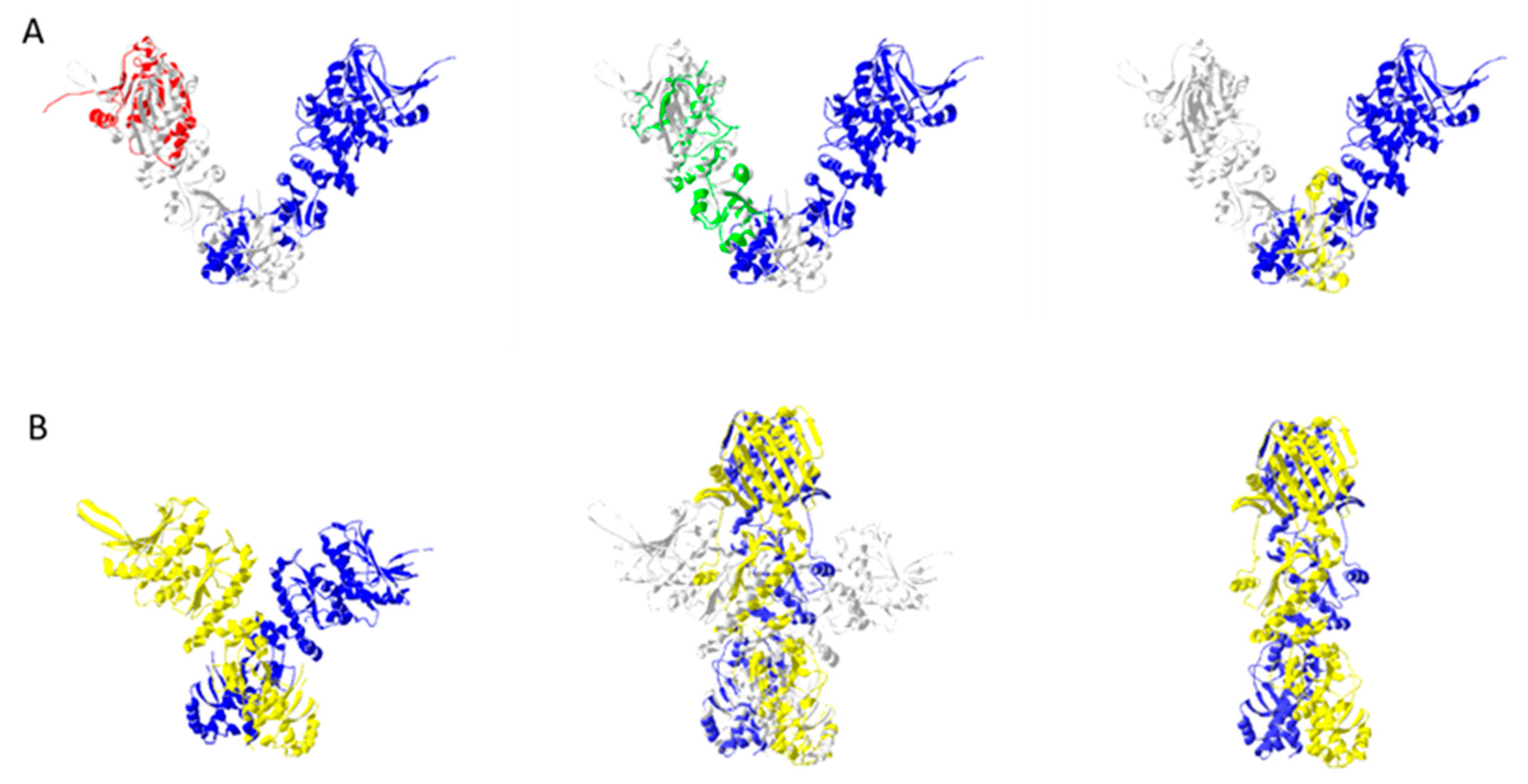 molecular chaperone definition biology molecular chaperone definition biology
