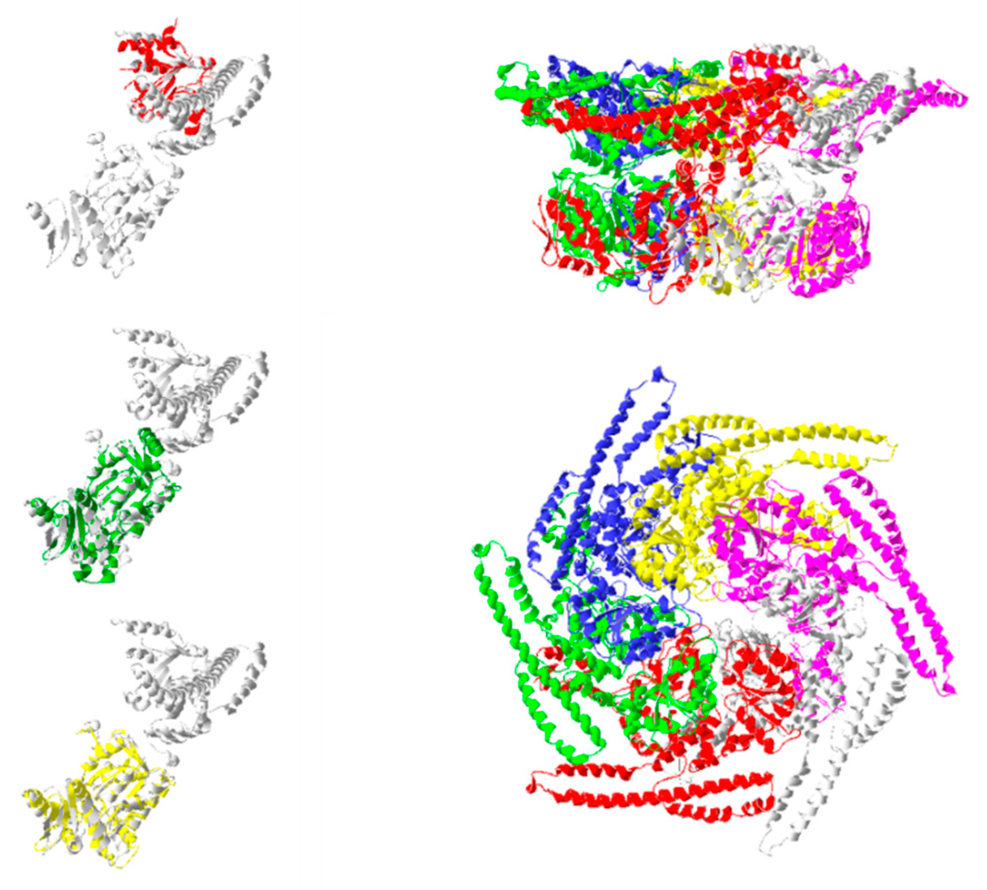 Ijms 20 06195 g006 Ijms 20 06195 g006