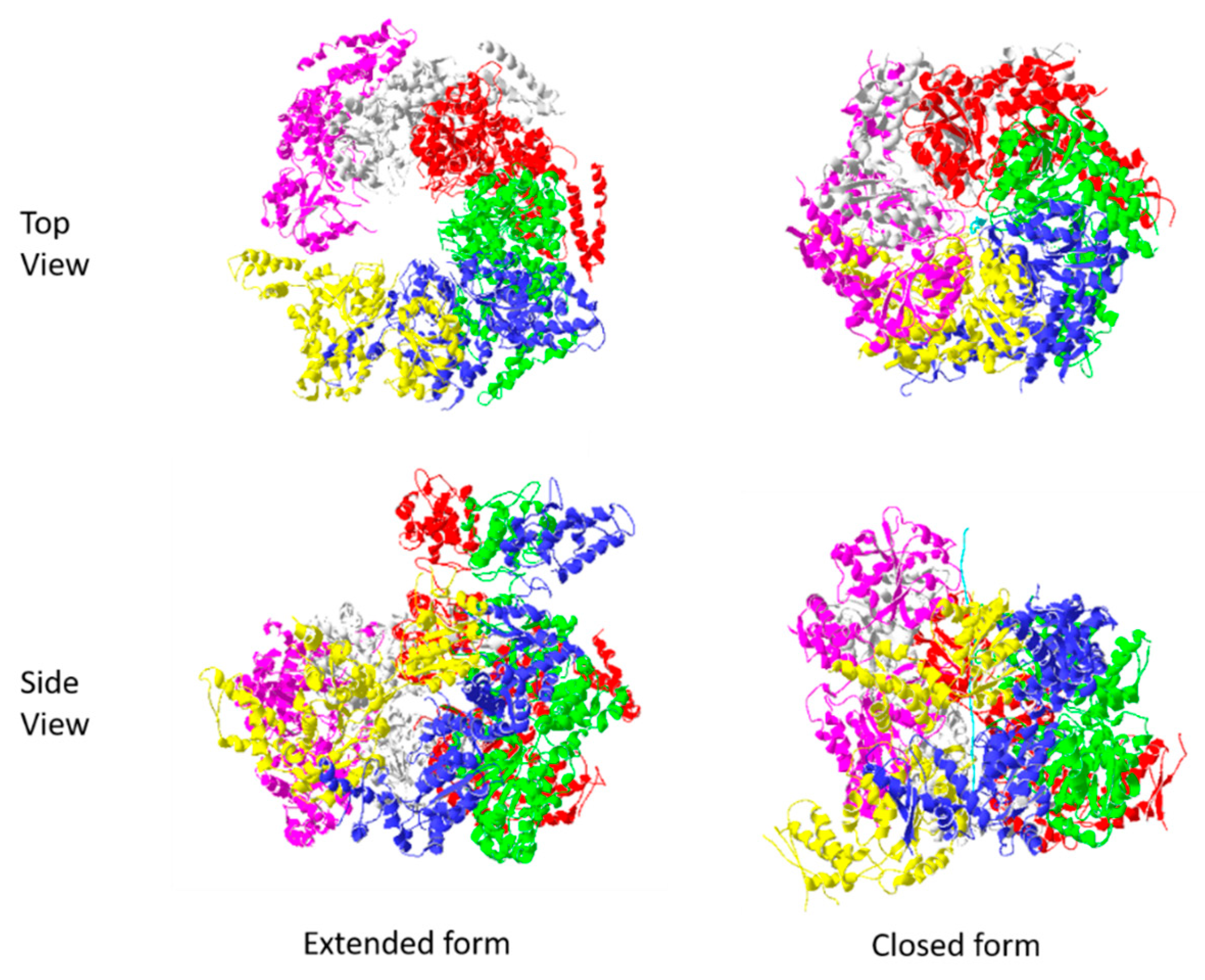 Ijms 20 06195 g007 Ijms 20 06195 g007