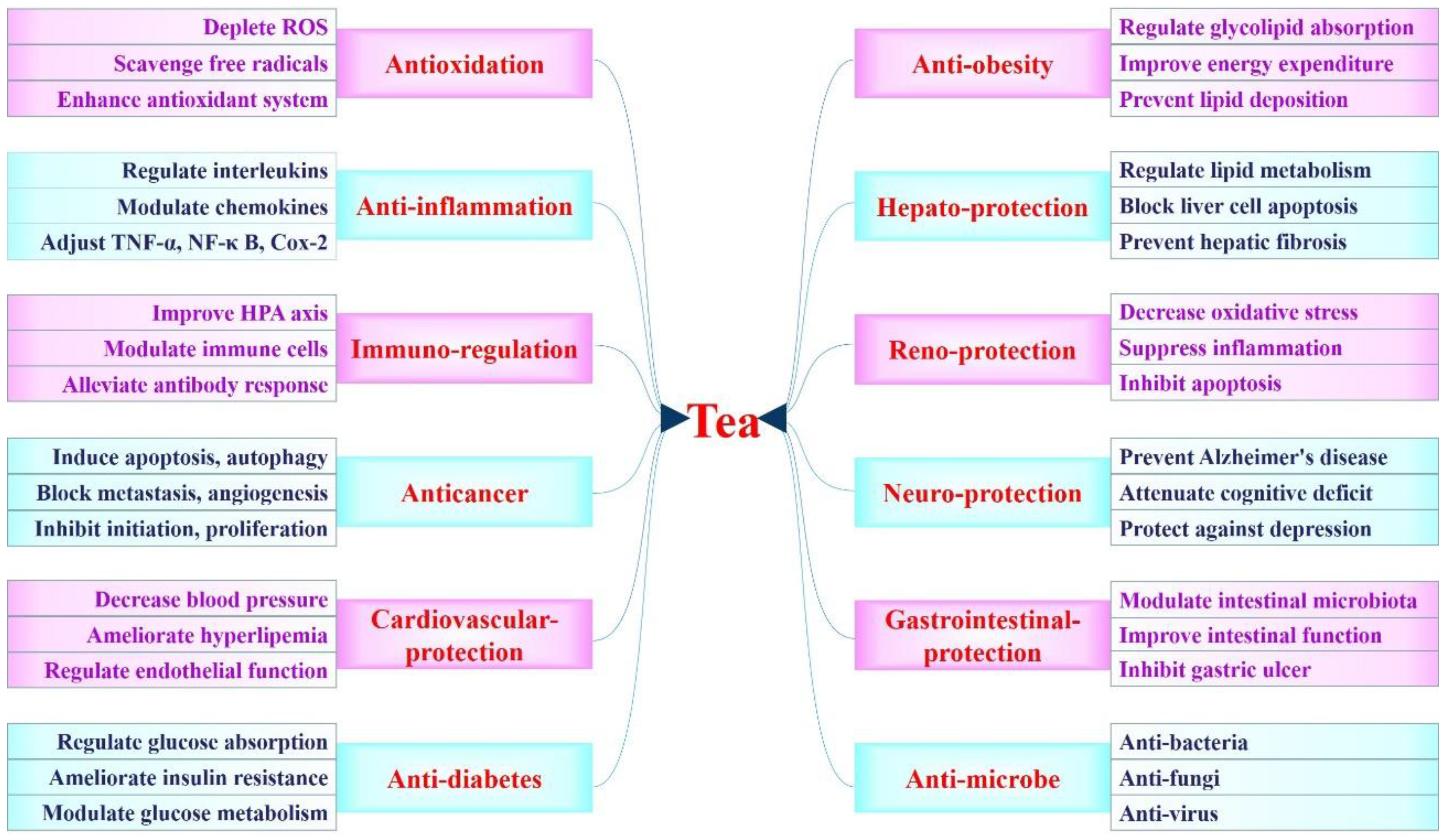 Ijms 20 06196 g001 Ijms 20 06196 g001