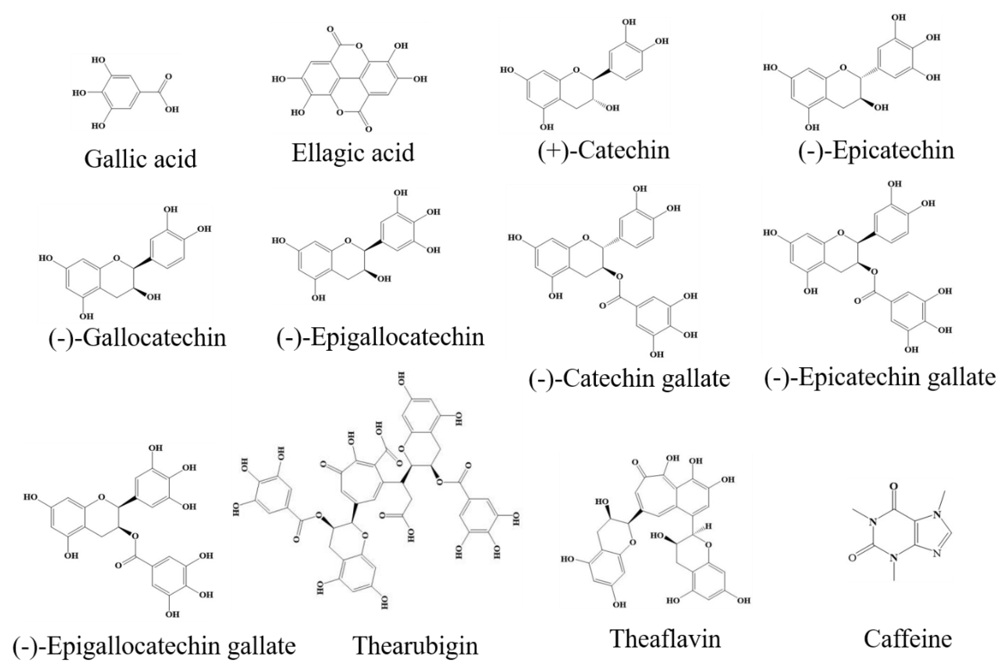 Ijms 20 06196 g002 Ijms 20 06196 g002