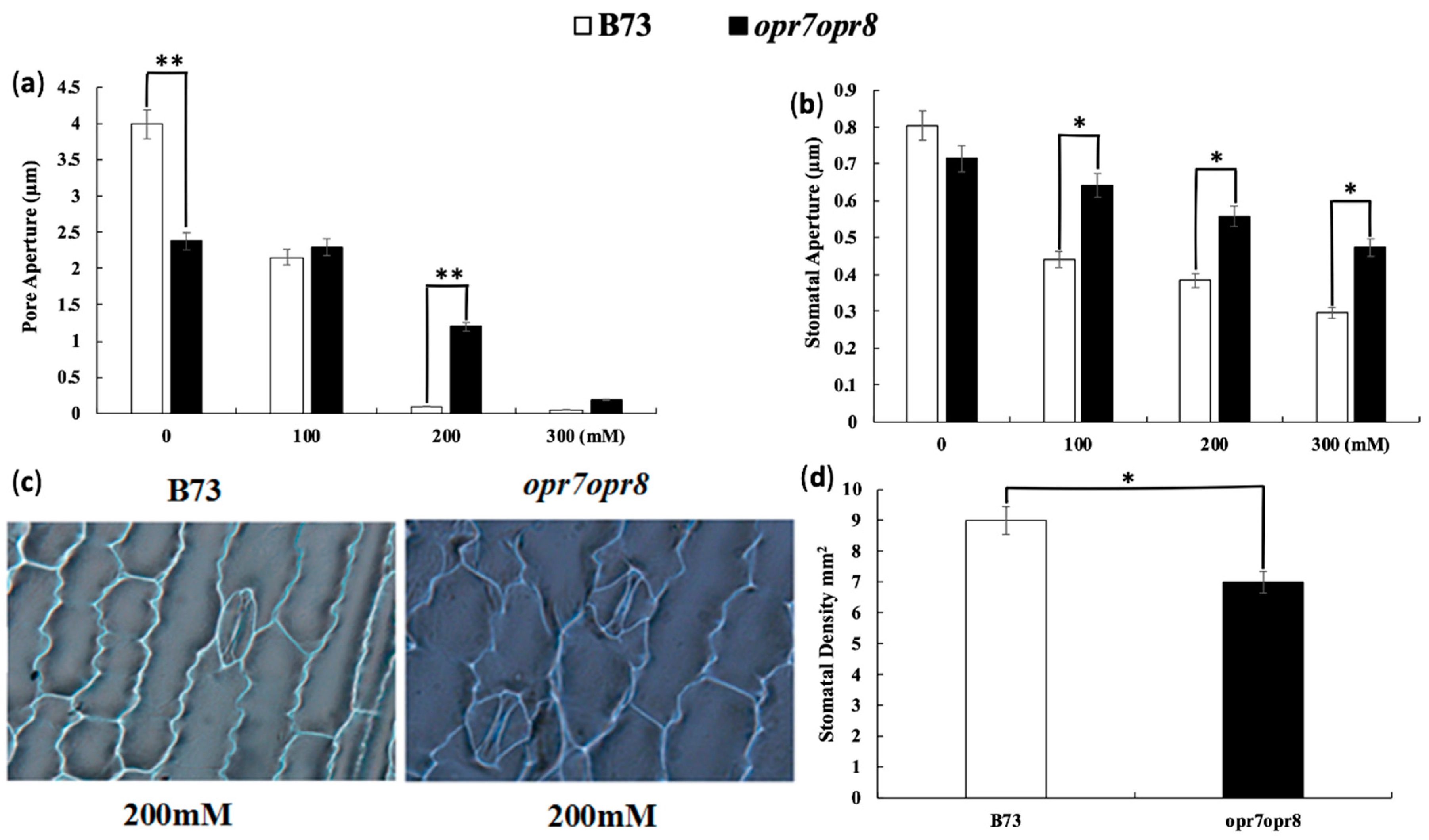 Ijms 20 06202 g001 Ijms 20 06202 g001