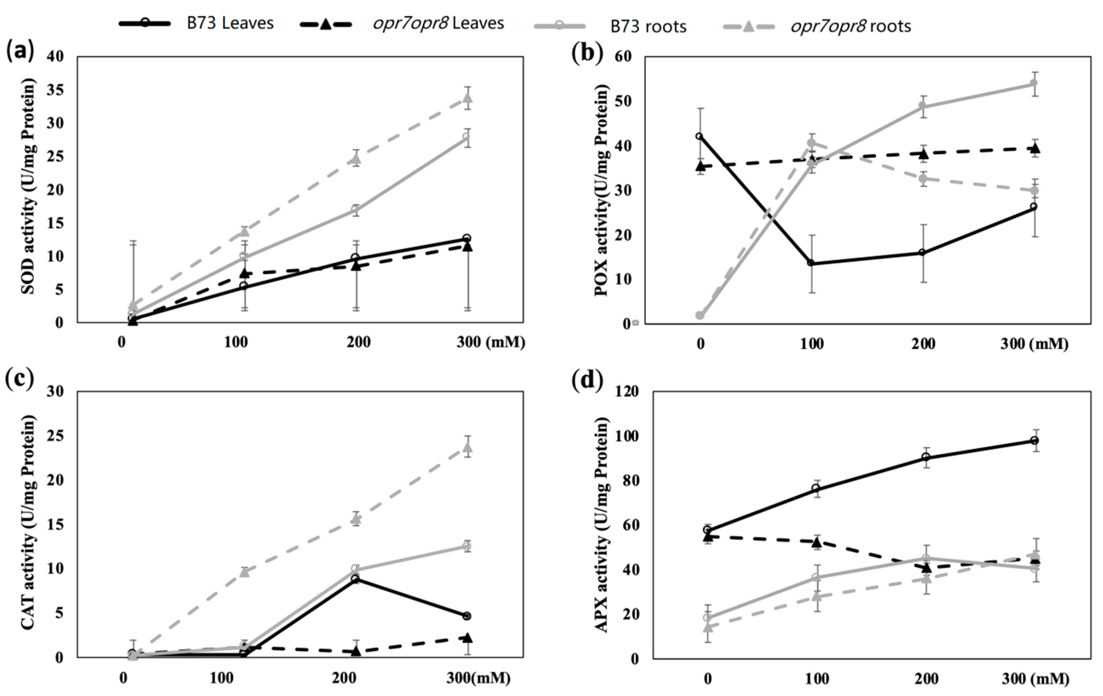 Ijms 20 06202 g007 Ijms 20 06202 g007