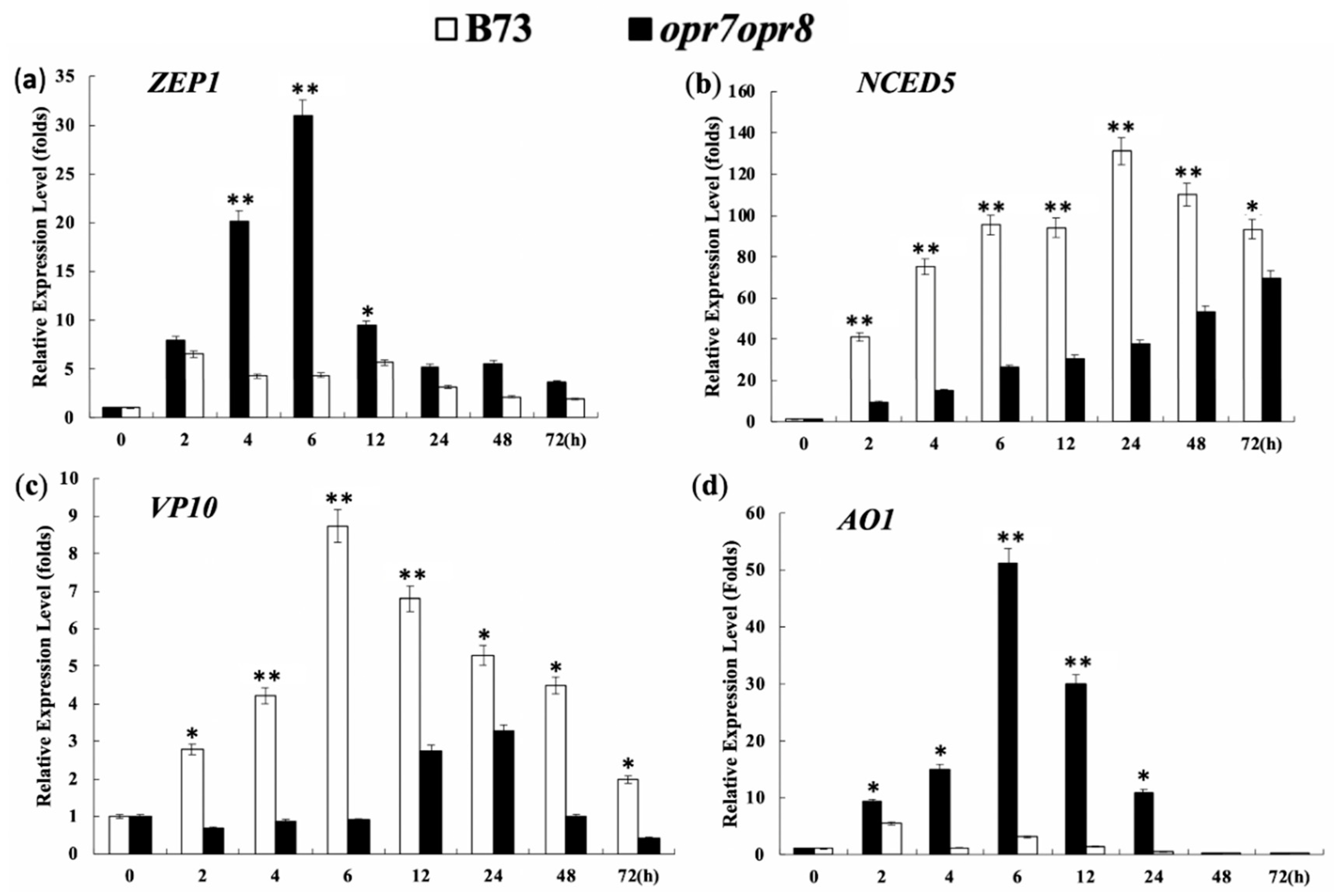 Ijms 20 06202 g010 Ijms 20 06202 g010