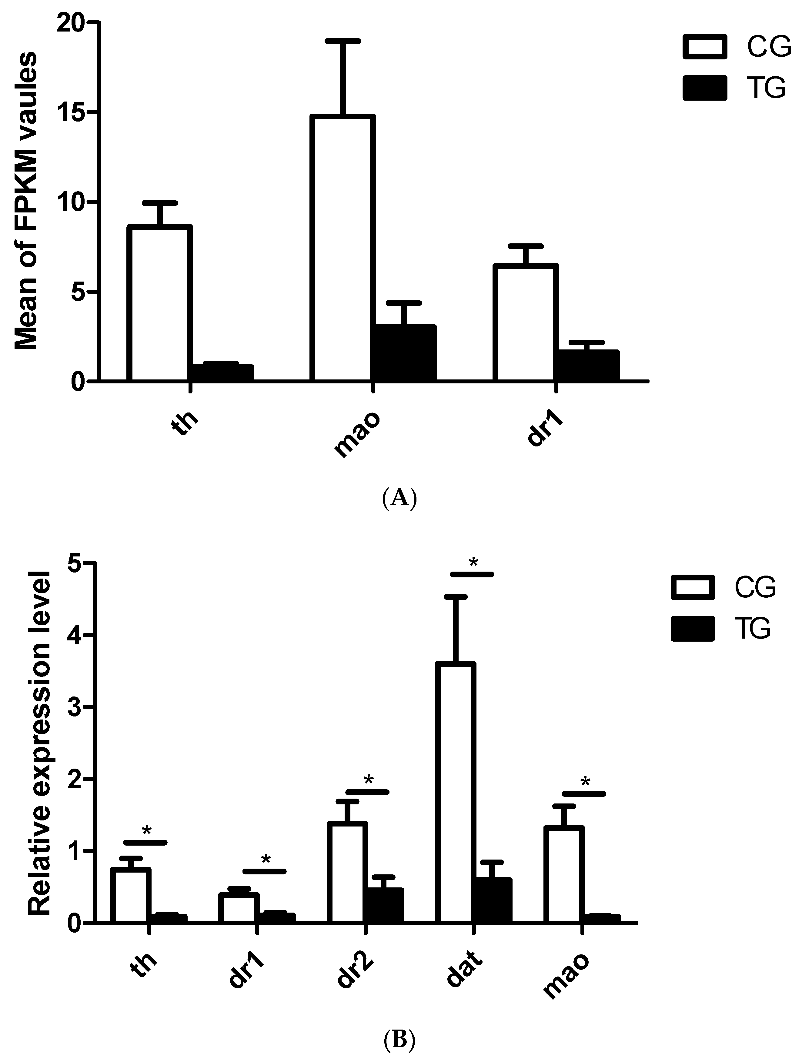 Ijms 20 06206 g003 Ijms 20 06206 g003