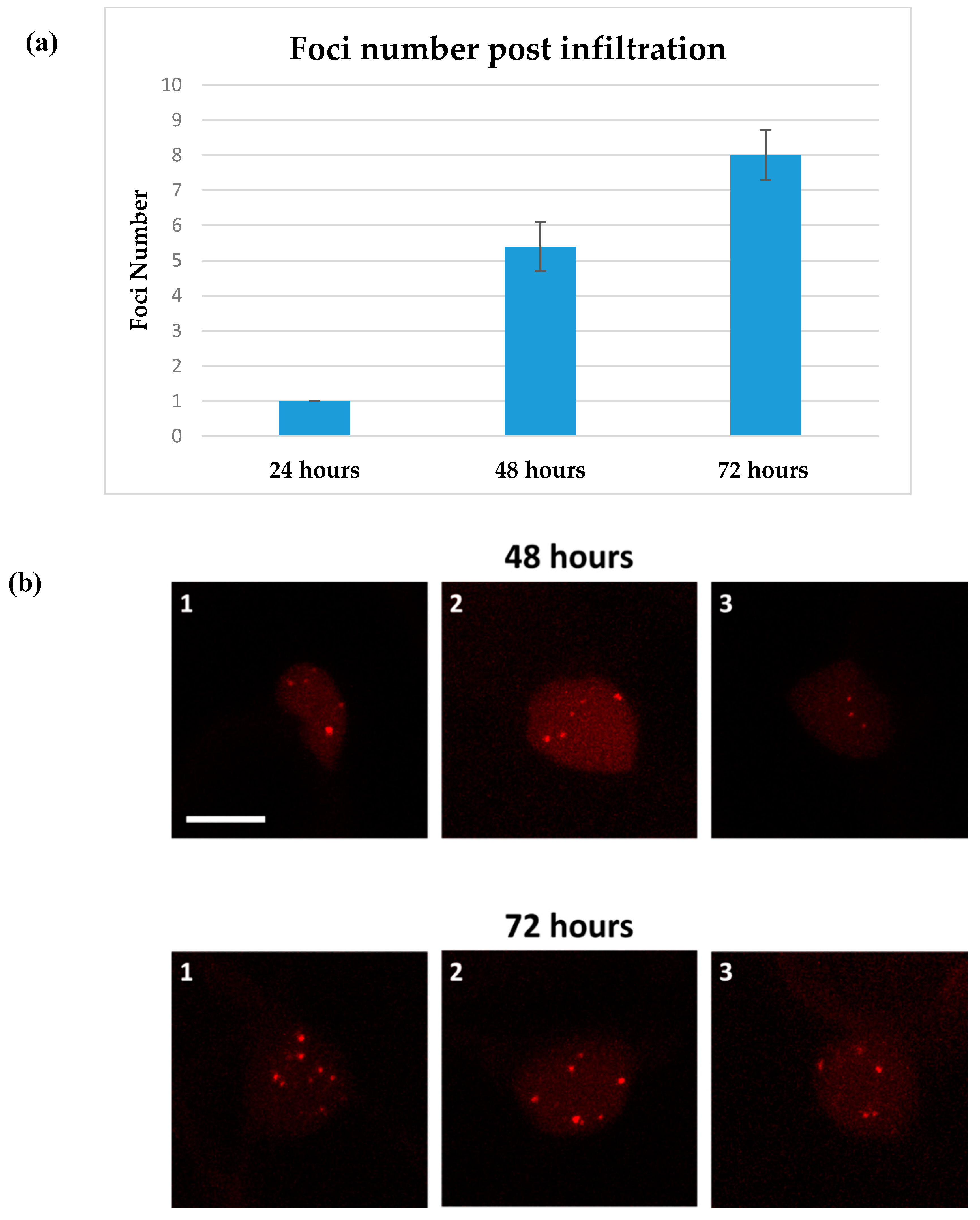 Ijms 20 06209 g004 Ijms 20 06209 g004