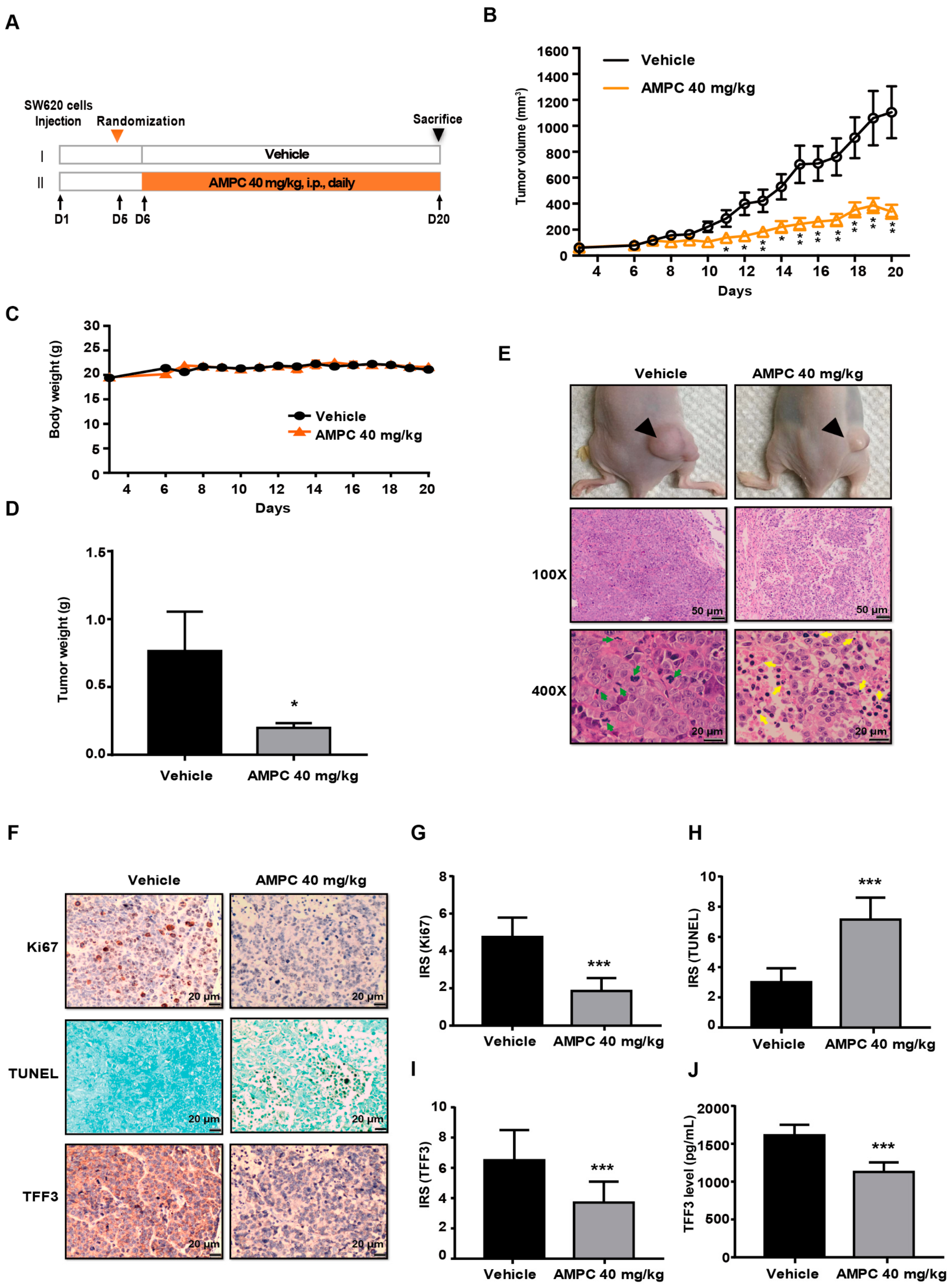 Ijms 20 06215 g005 Ijms 20 06215 g005