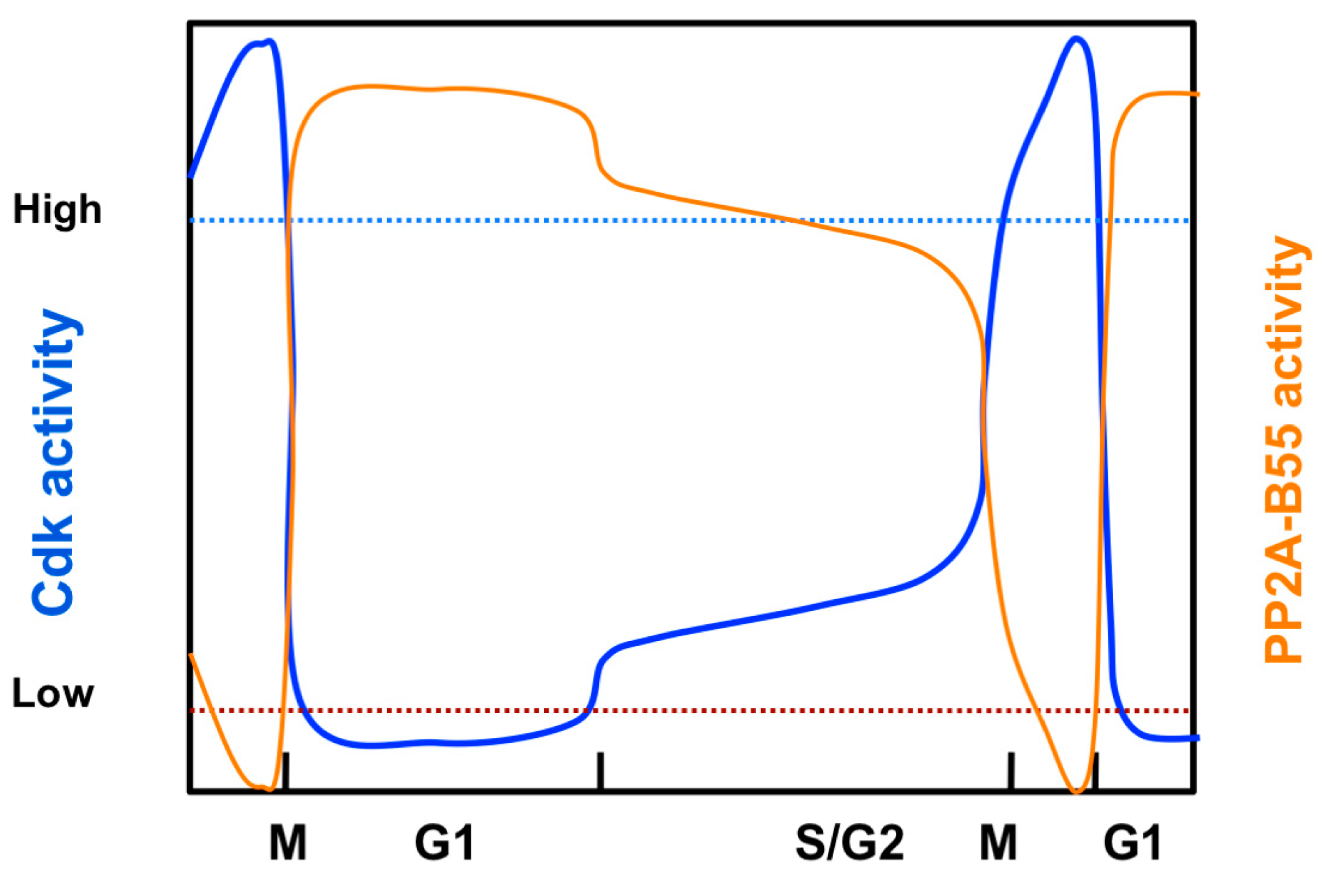 Ijms 20 06228 g001 Ijms 20 06228 g001
