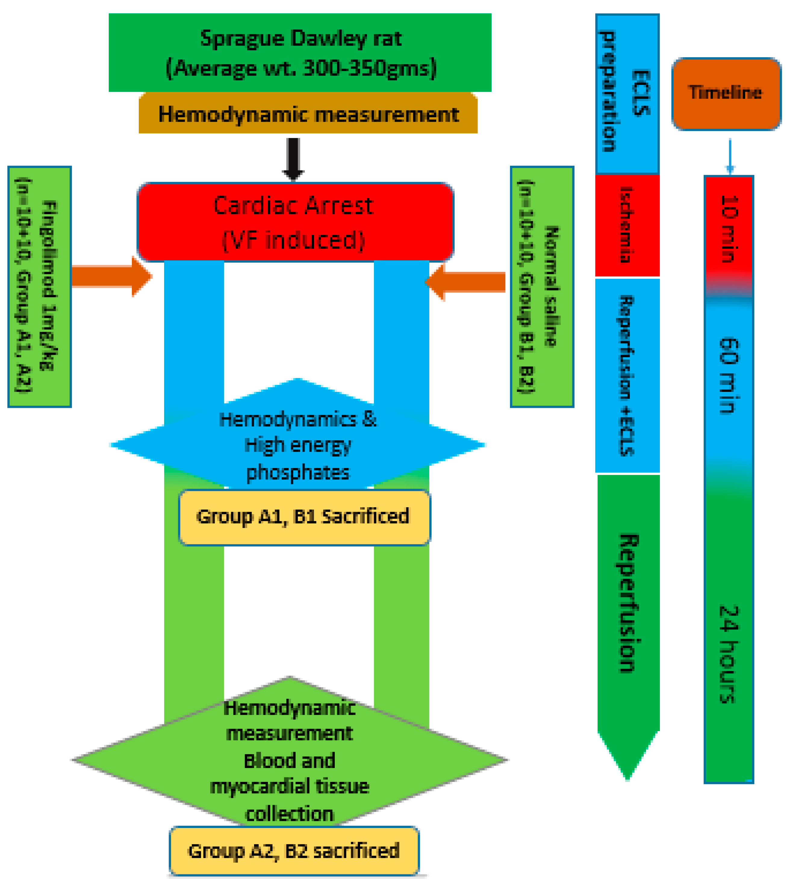Ijms 20 06237 g001 Ijms 20 06237 g001