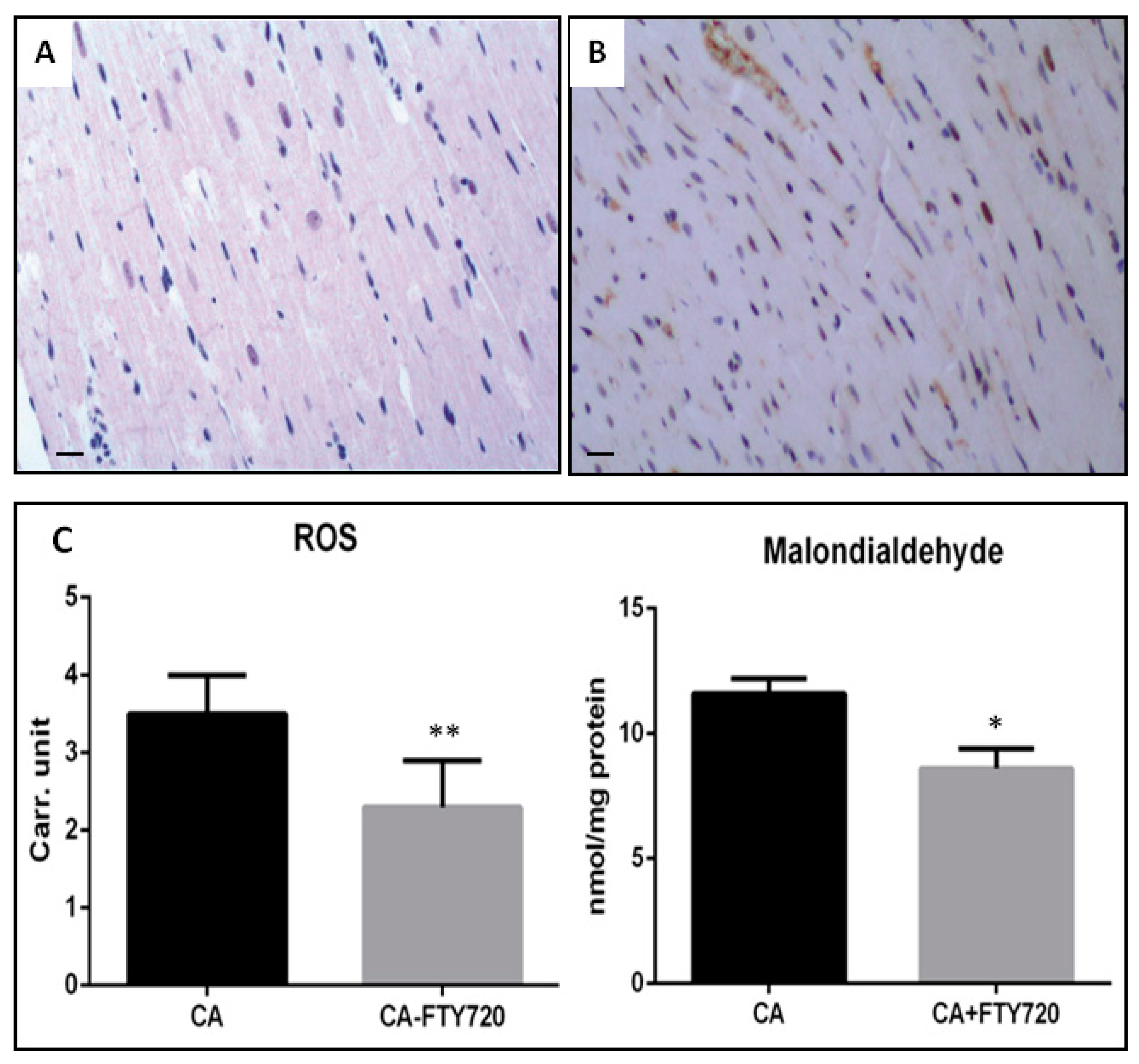 Ijms 20 06237 g004 Ijms 20 06237 g004