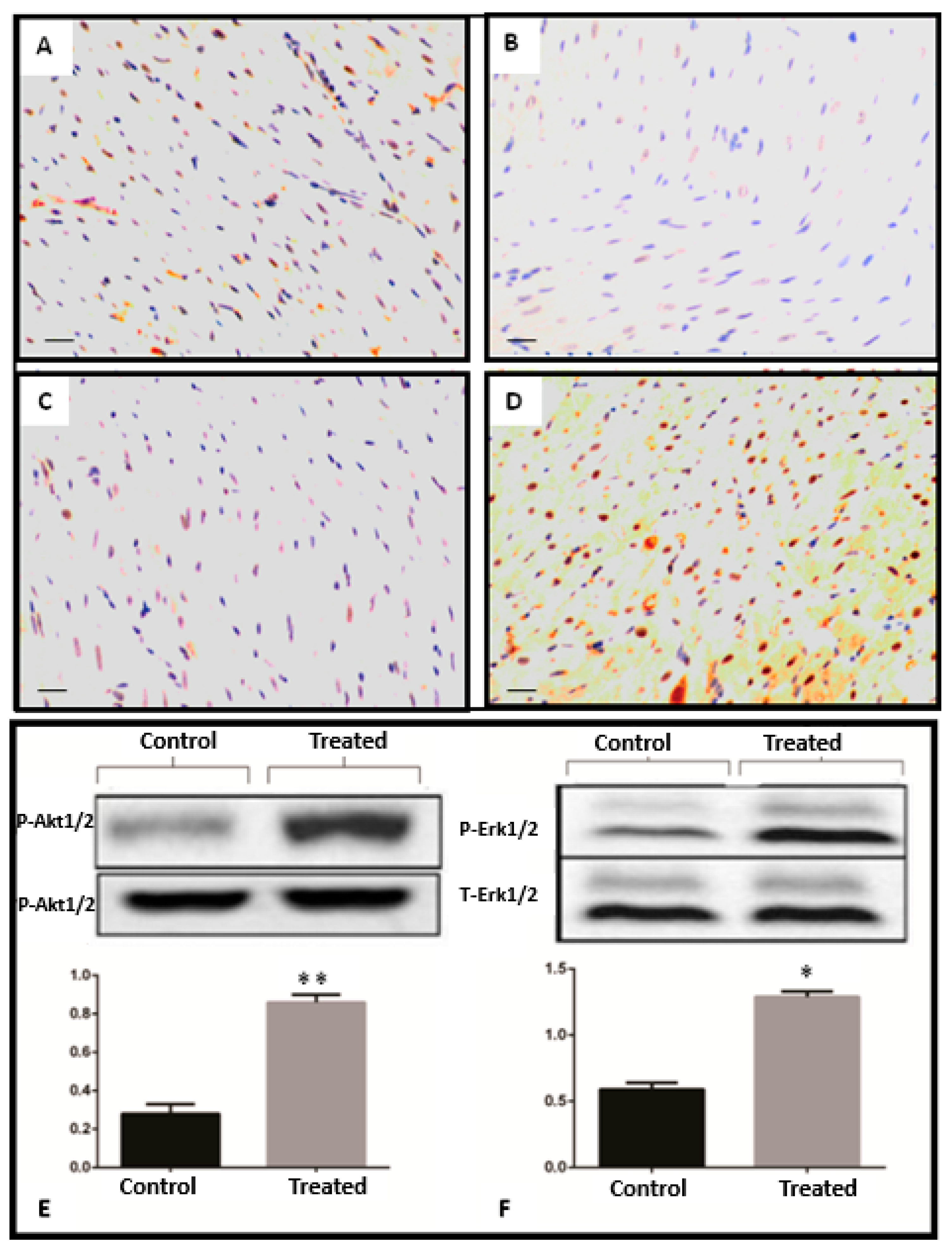 Ijms 20 06237 g005 Ijms 20 06237 g005