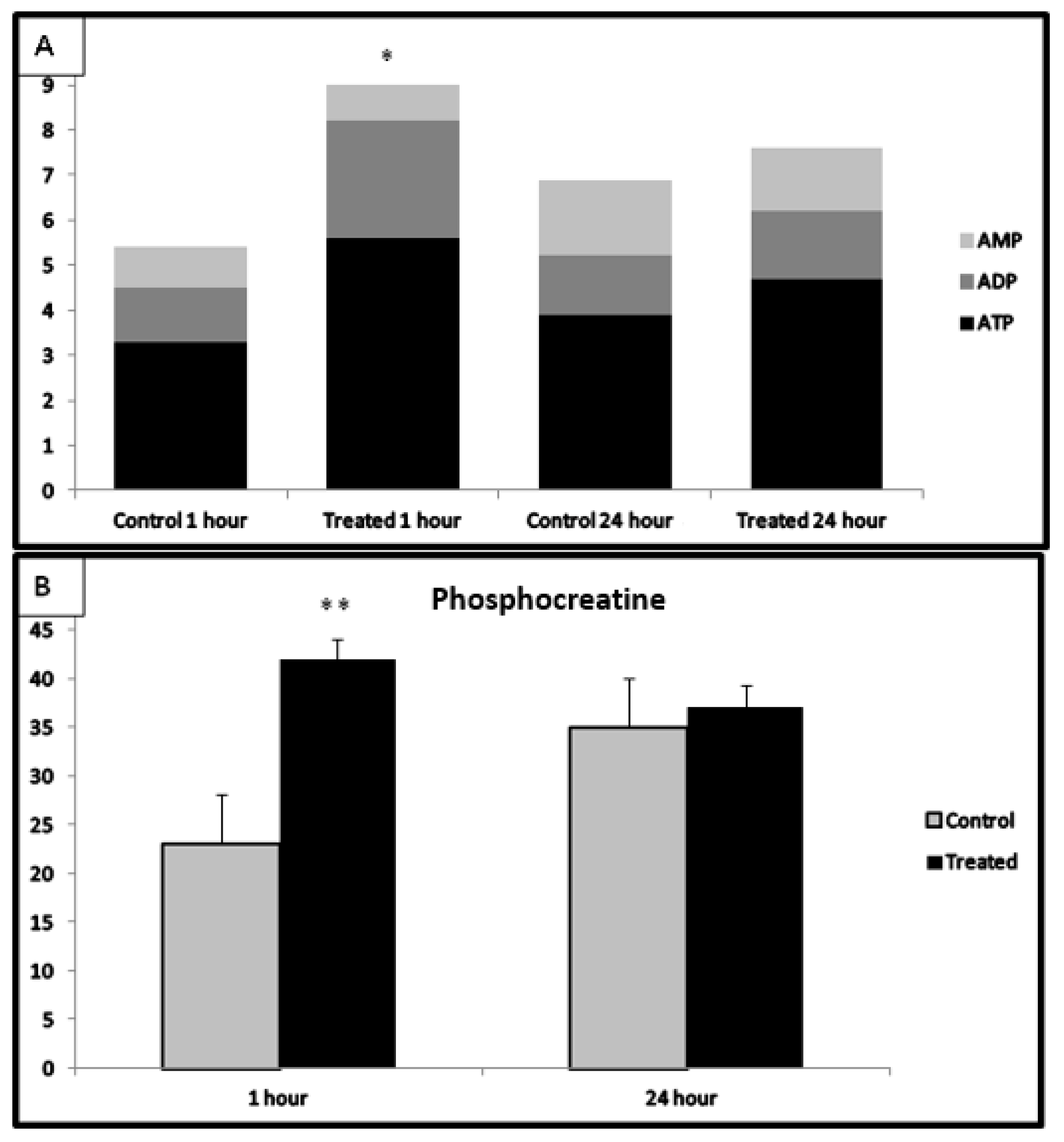 Ijms 20 06237 g006 Ijms 20 06237 g006
