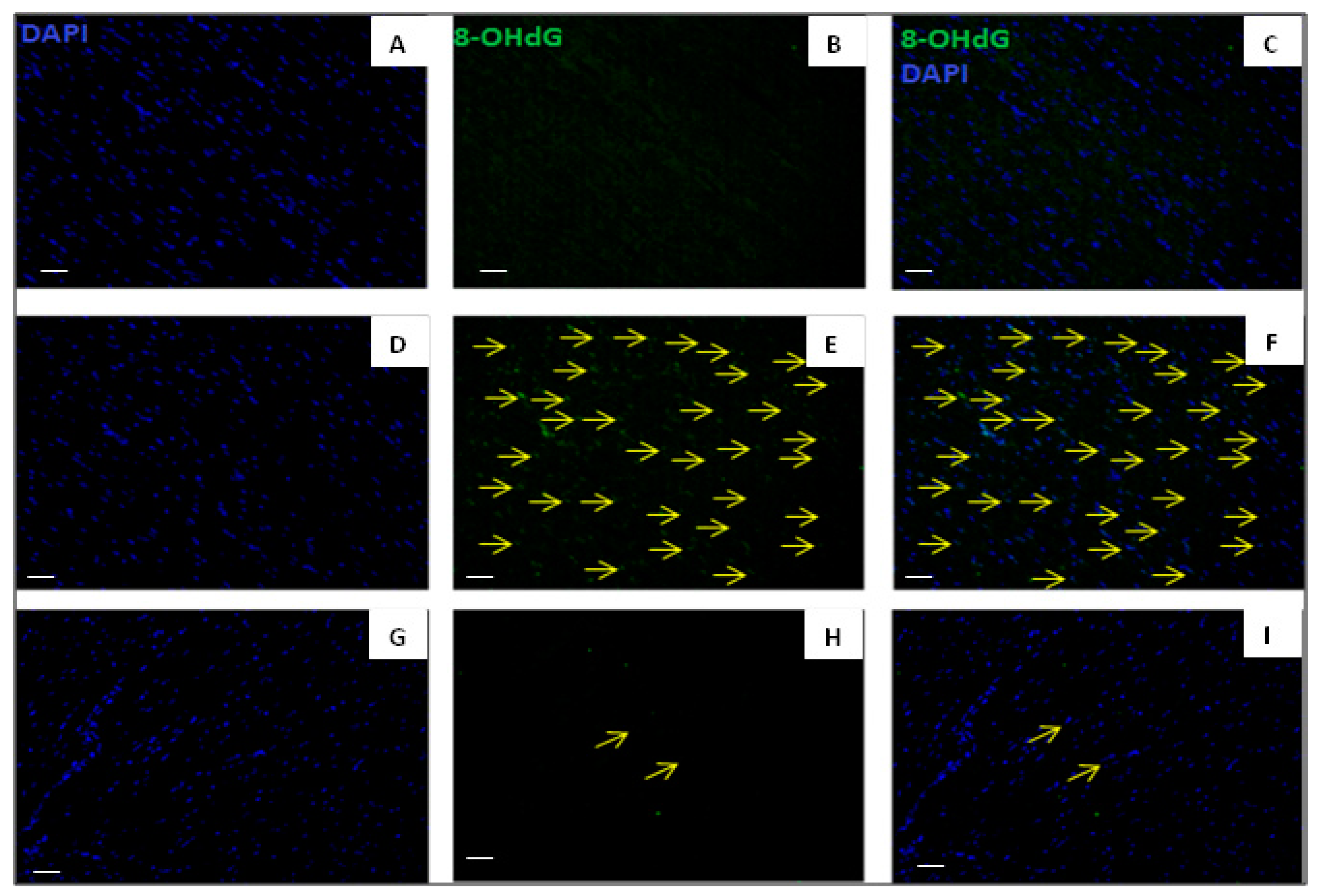 Ijms 20 06237 g007 Ijms 20 06237 g007