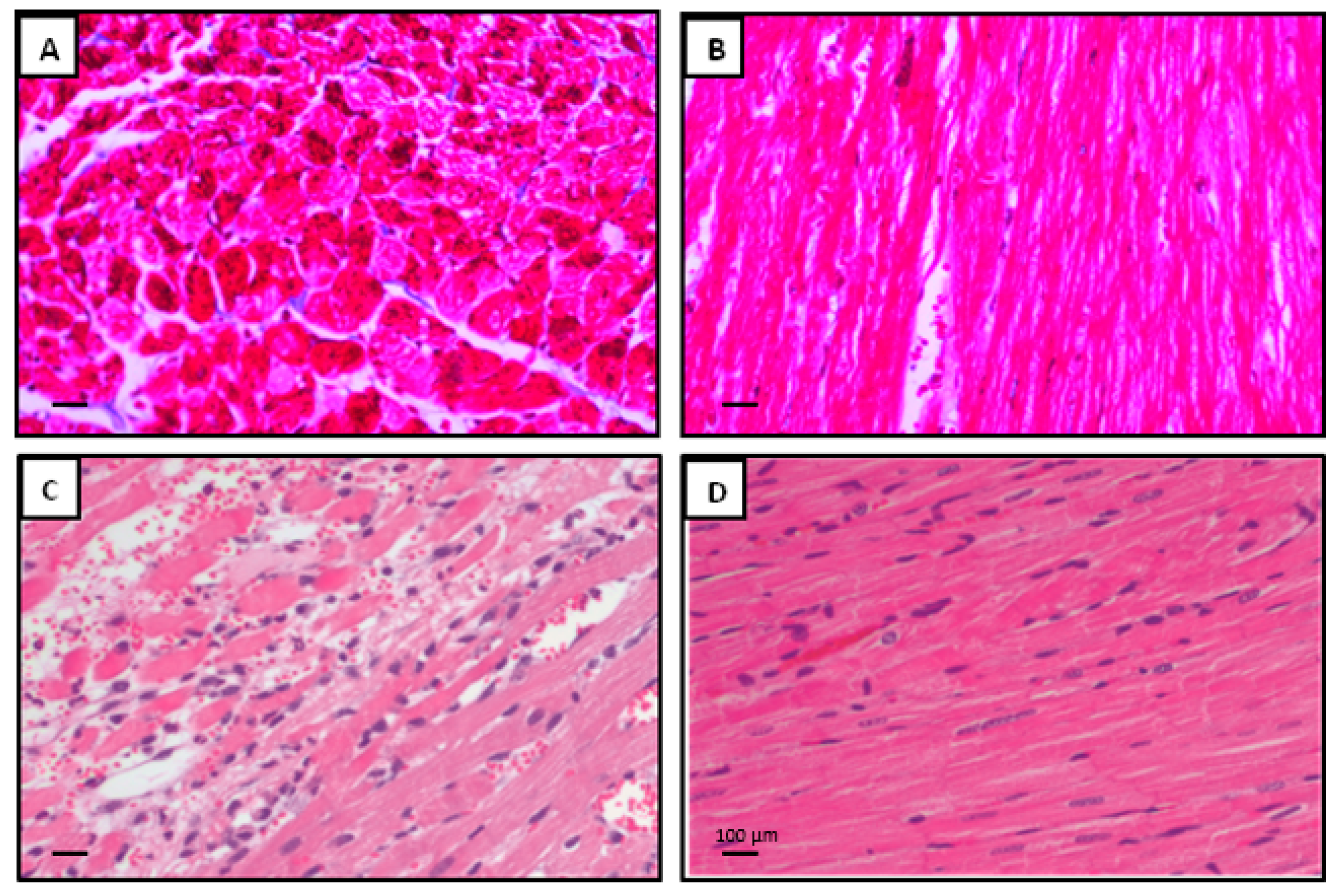 Ijms 20 06237 g008 Ijms 20 06237 g008