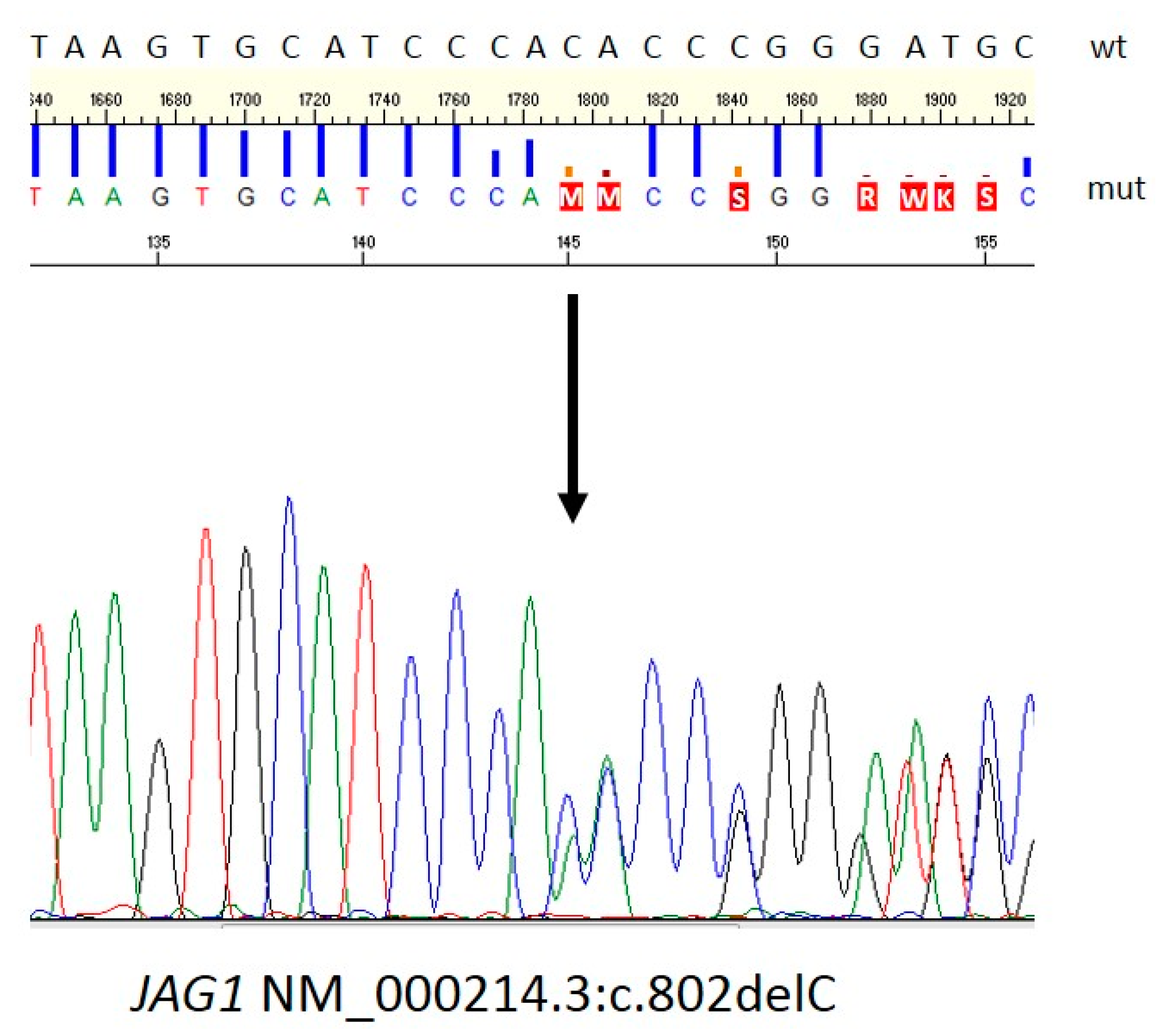 Ijms 20 06247 g002 Ijms 20 06247 g002