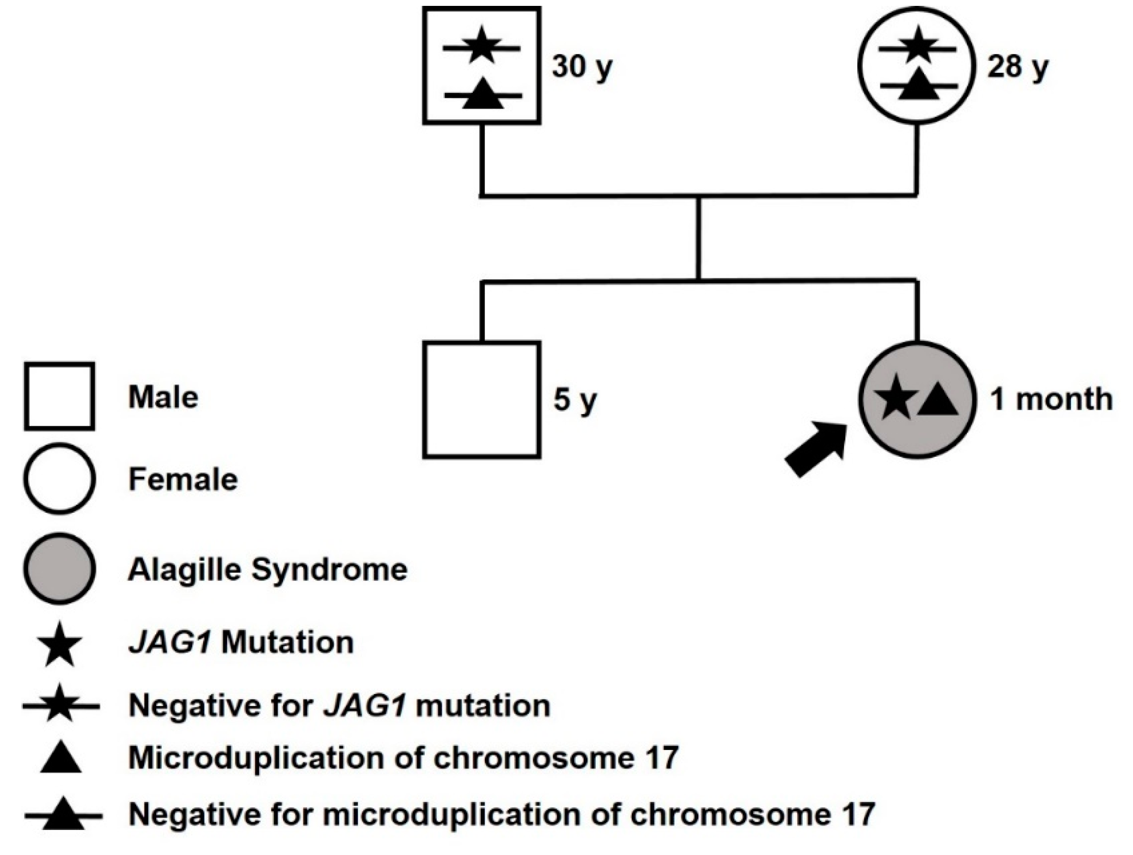 Ijms 20 06247 g003 Ijms 20 06247 g003