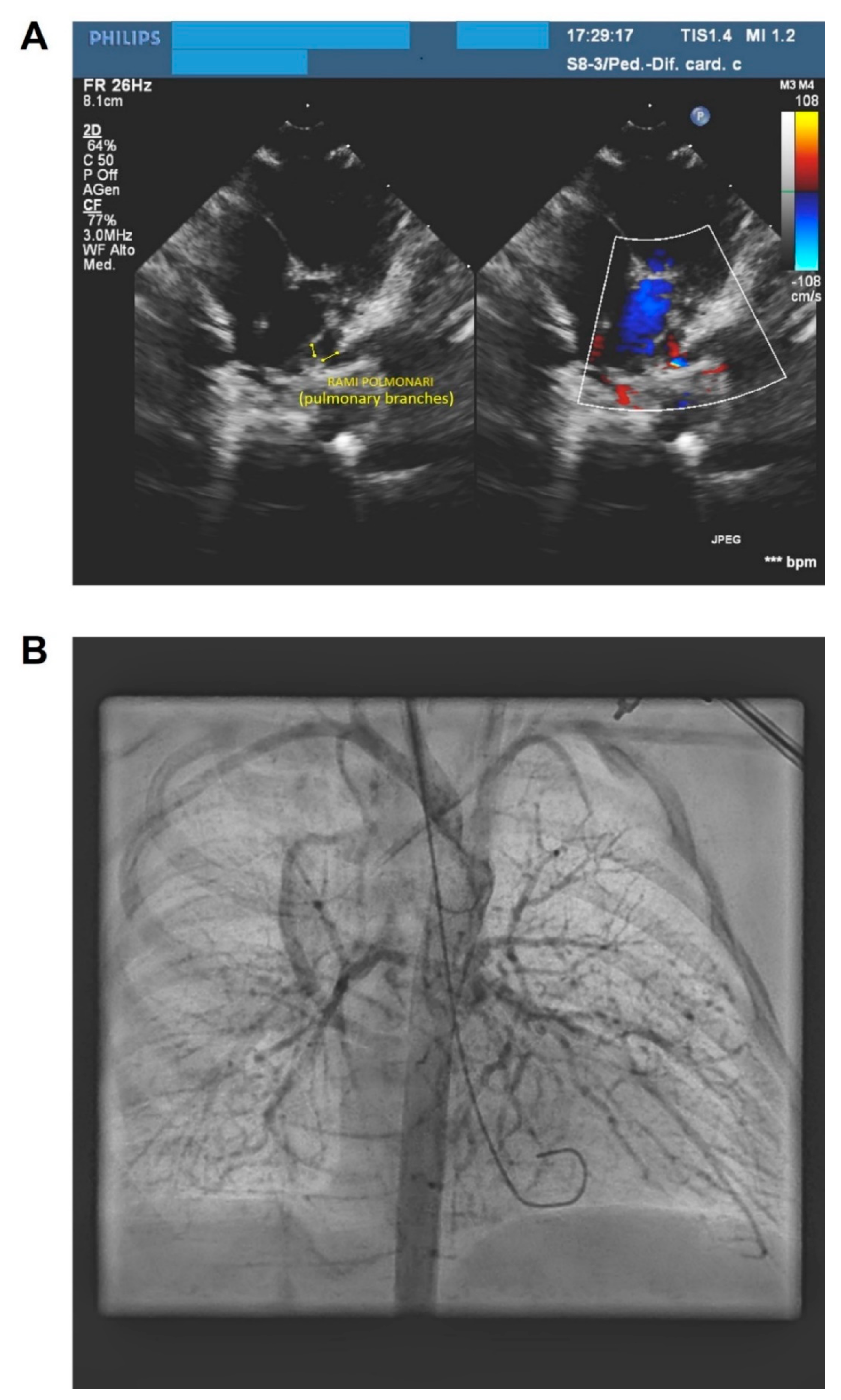 Ijms 20 06247 g004 Ijms 20 06247 g004