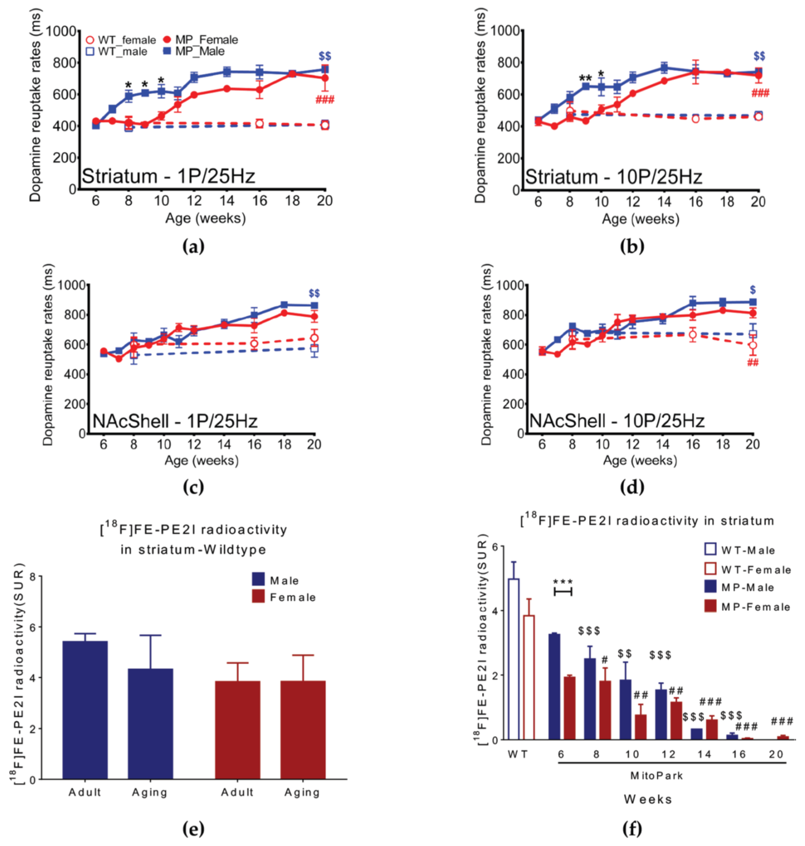 Ijms 20 06251 g004 Ijms 20 06251 g004