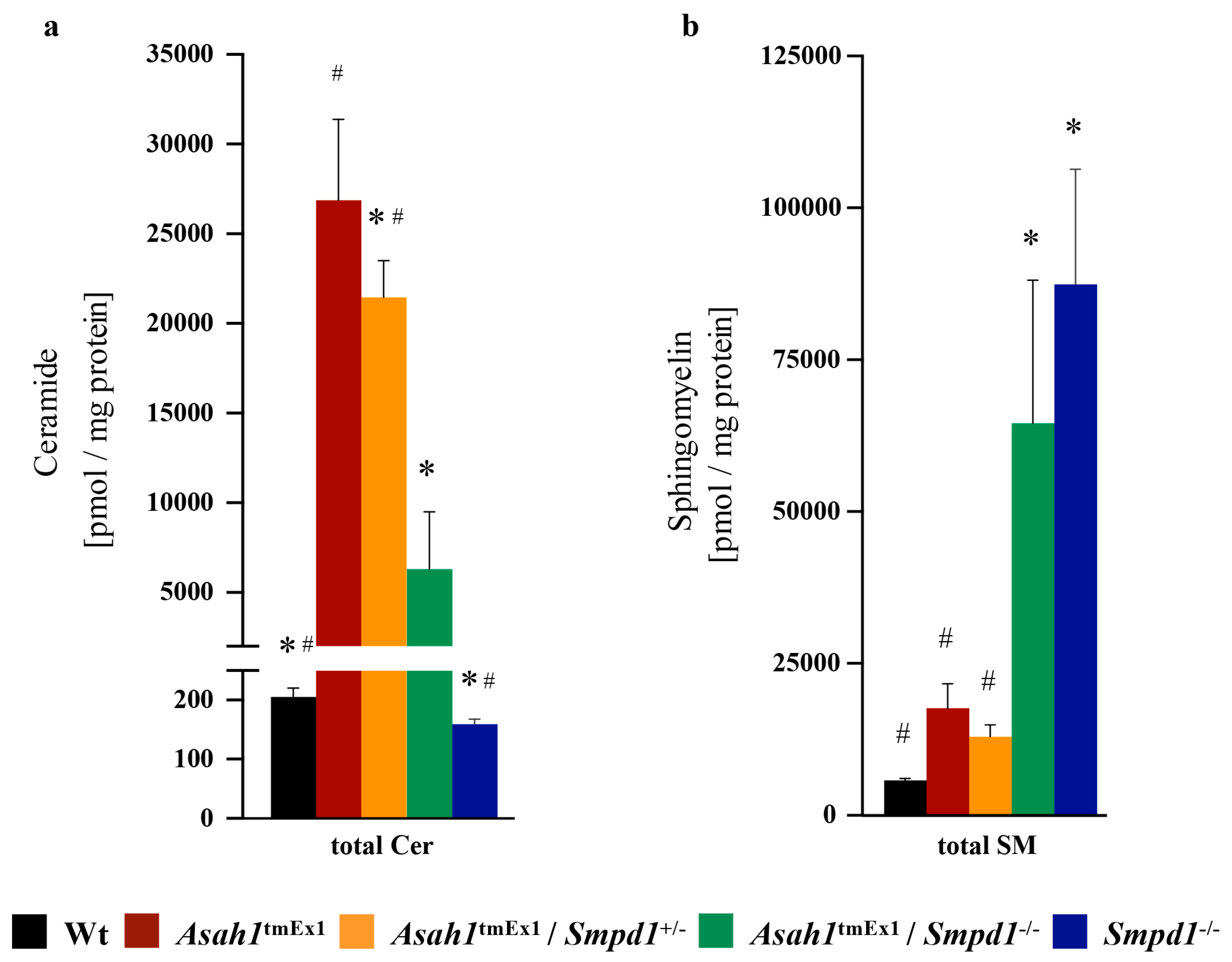 Ijms 20 06253 g001 Ijms 20 06253 g001