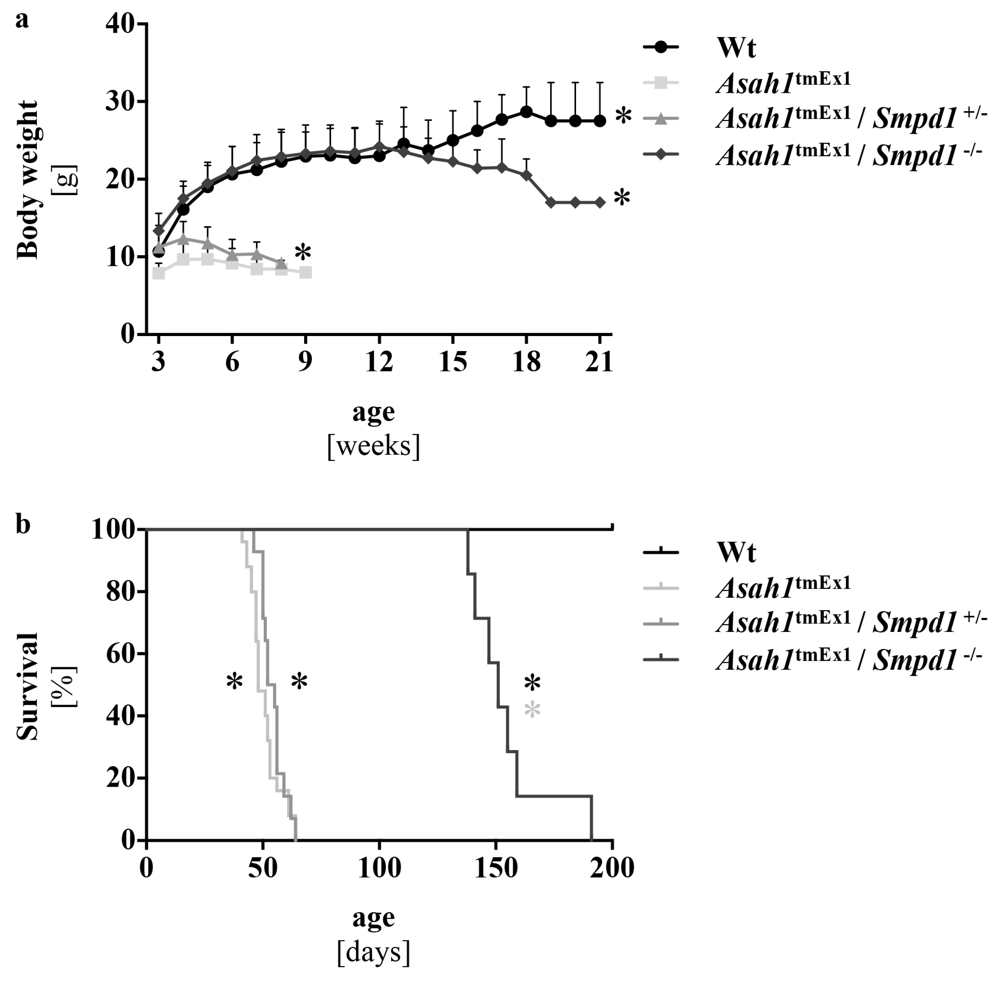 Ijms 20 06253 g002 Ijms 20 06253 g002