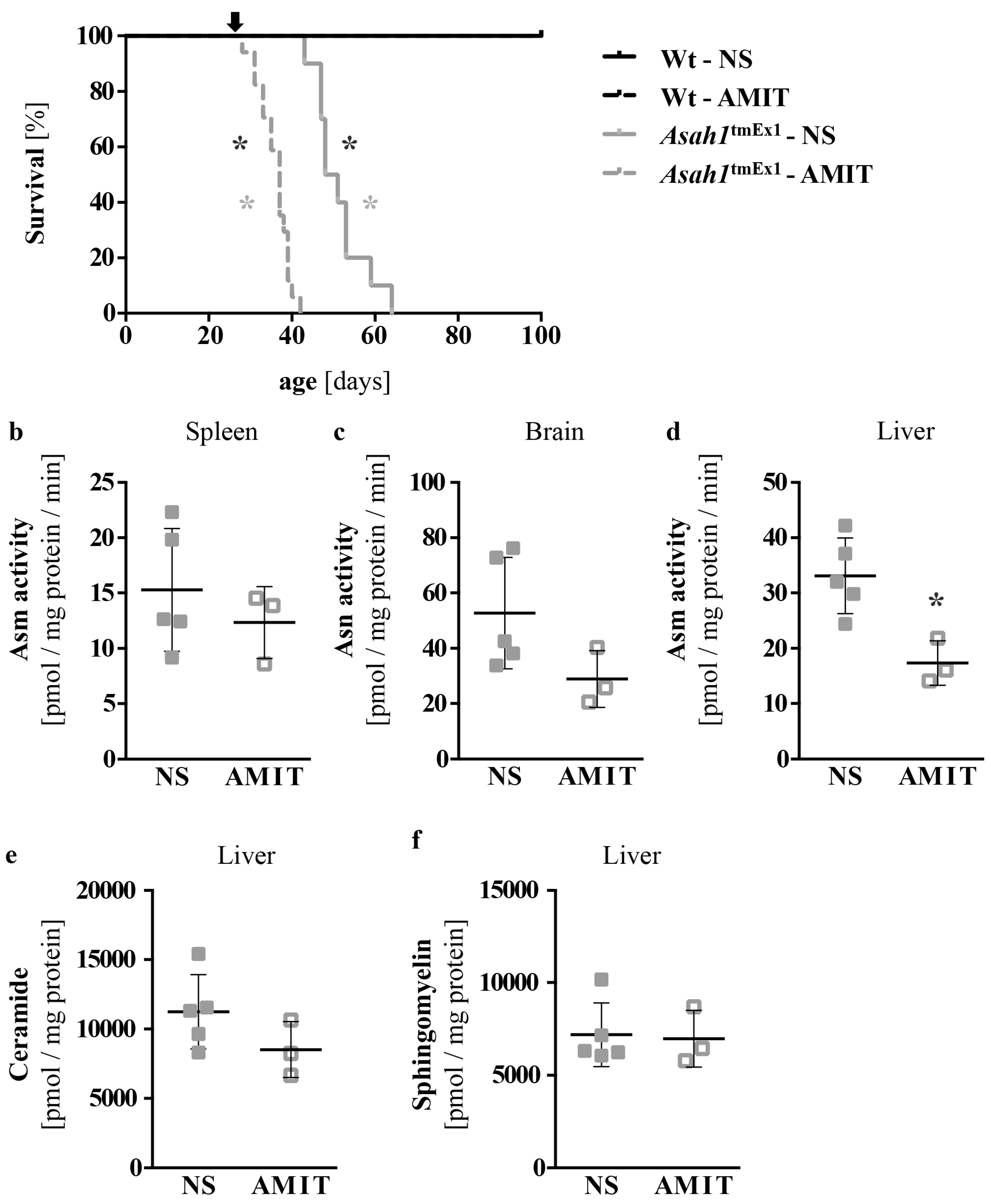 Ijms 20 06253 g006 Ijms 20 06253 g006