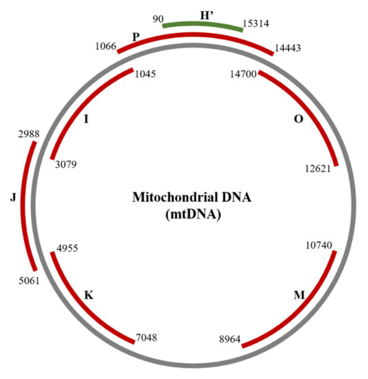 IJMS | Free Full-Text | The Detection and Partial Localisation of ...