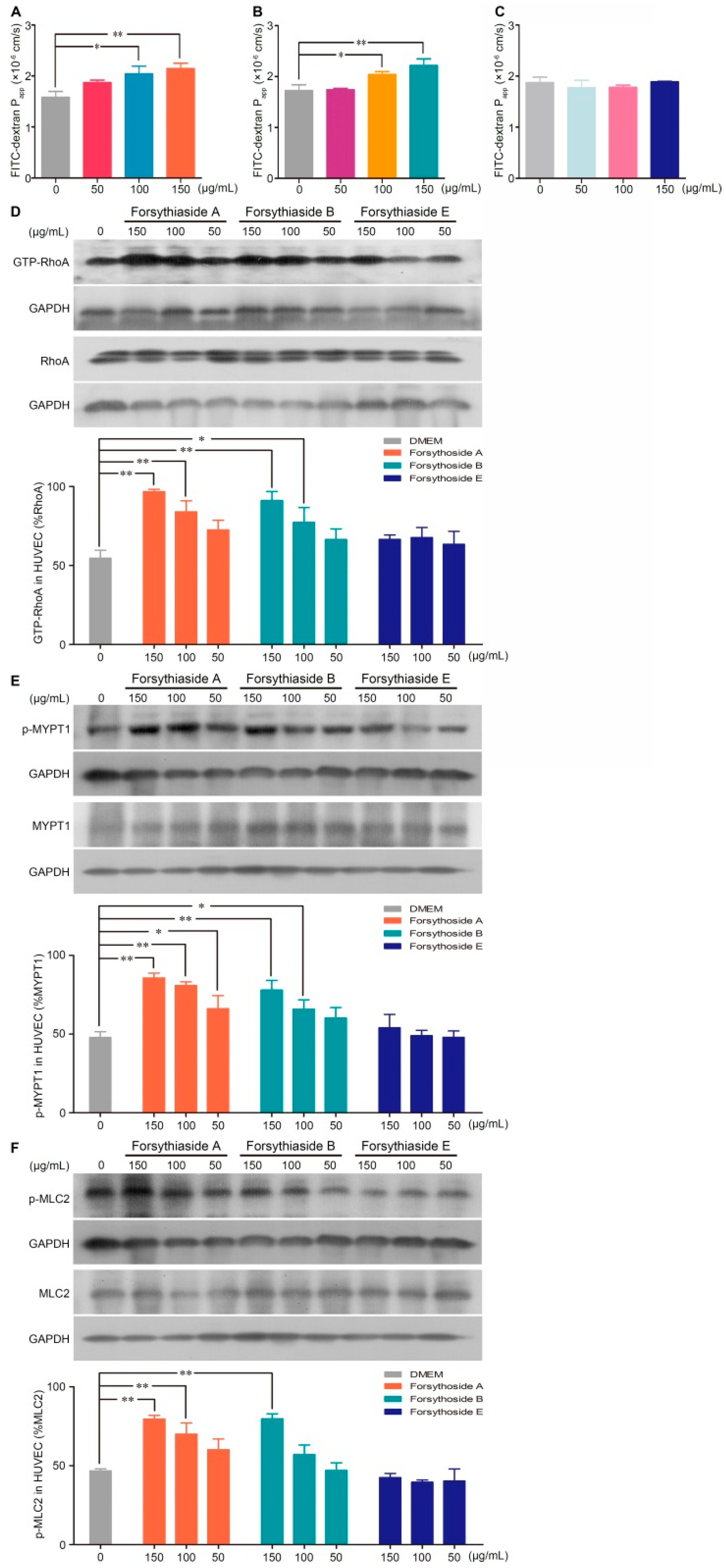 Forsythoside A and Forsythoside B Contribute to