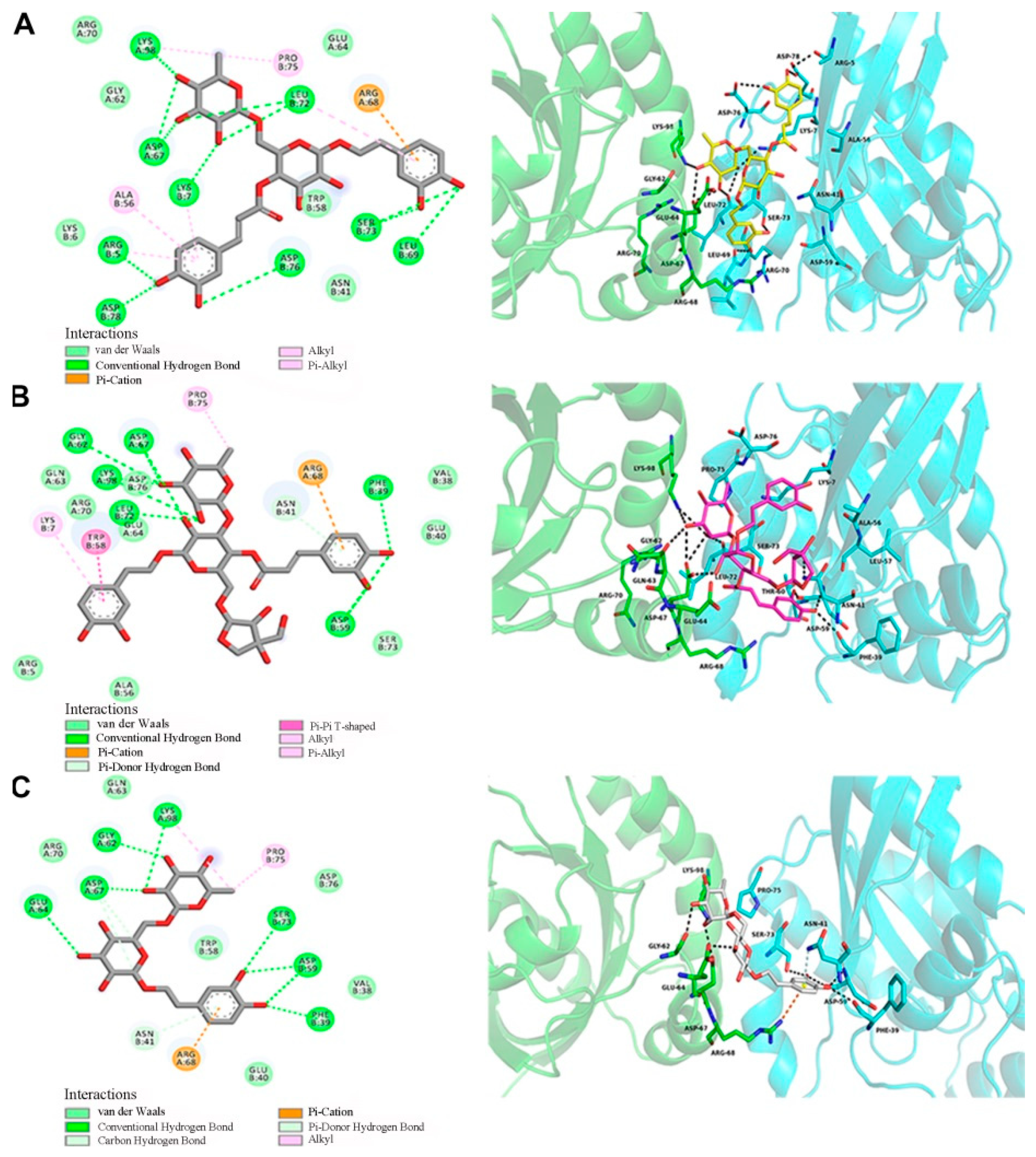 Ijms 20 06266 g007 Ijms 20 06266 g007