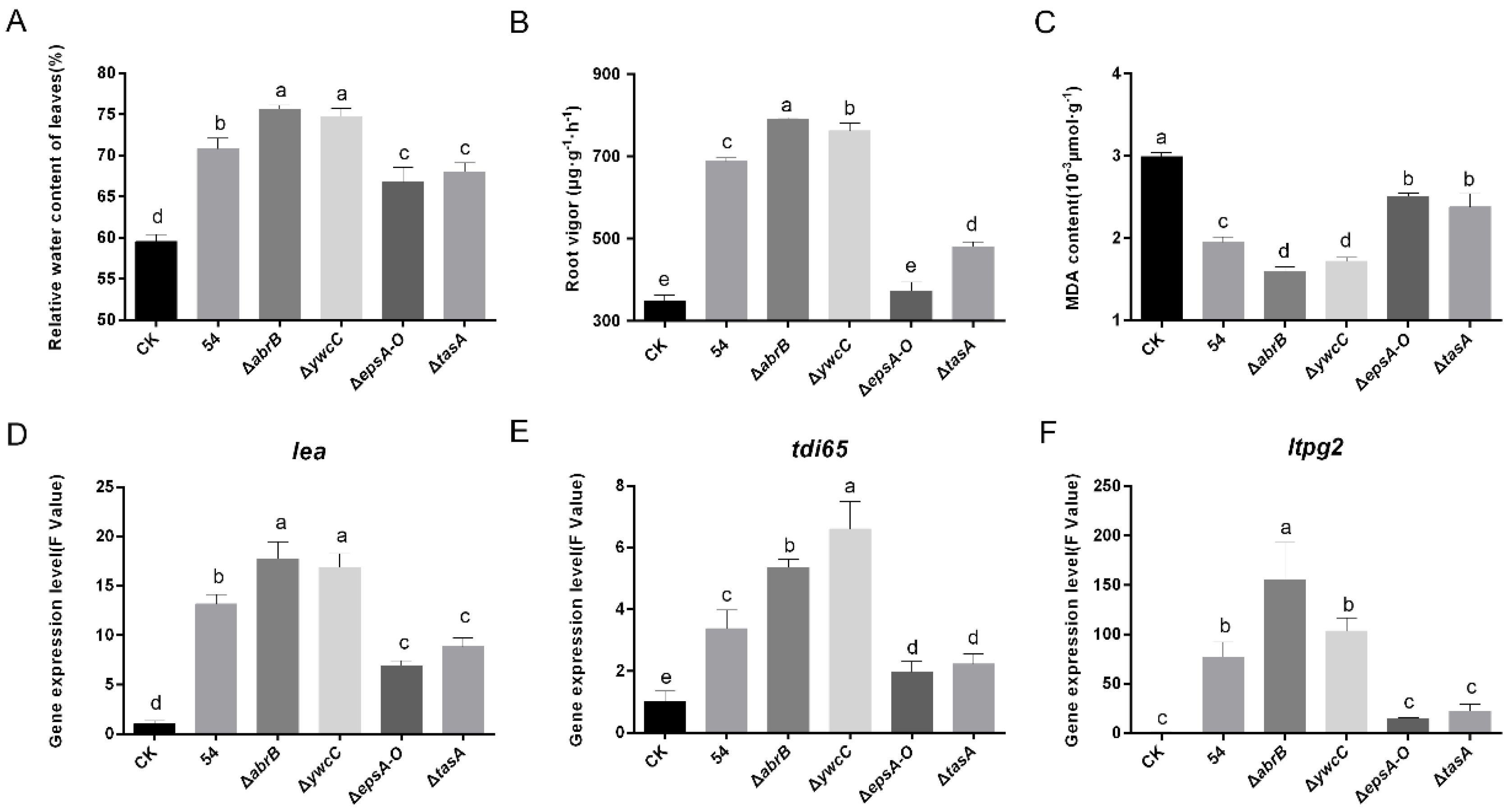 Ijms 20 06271 g003 Ijms 20 06271 g003