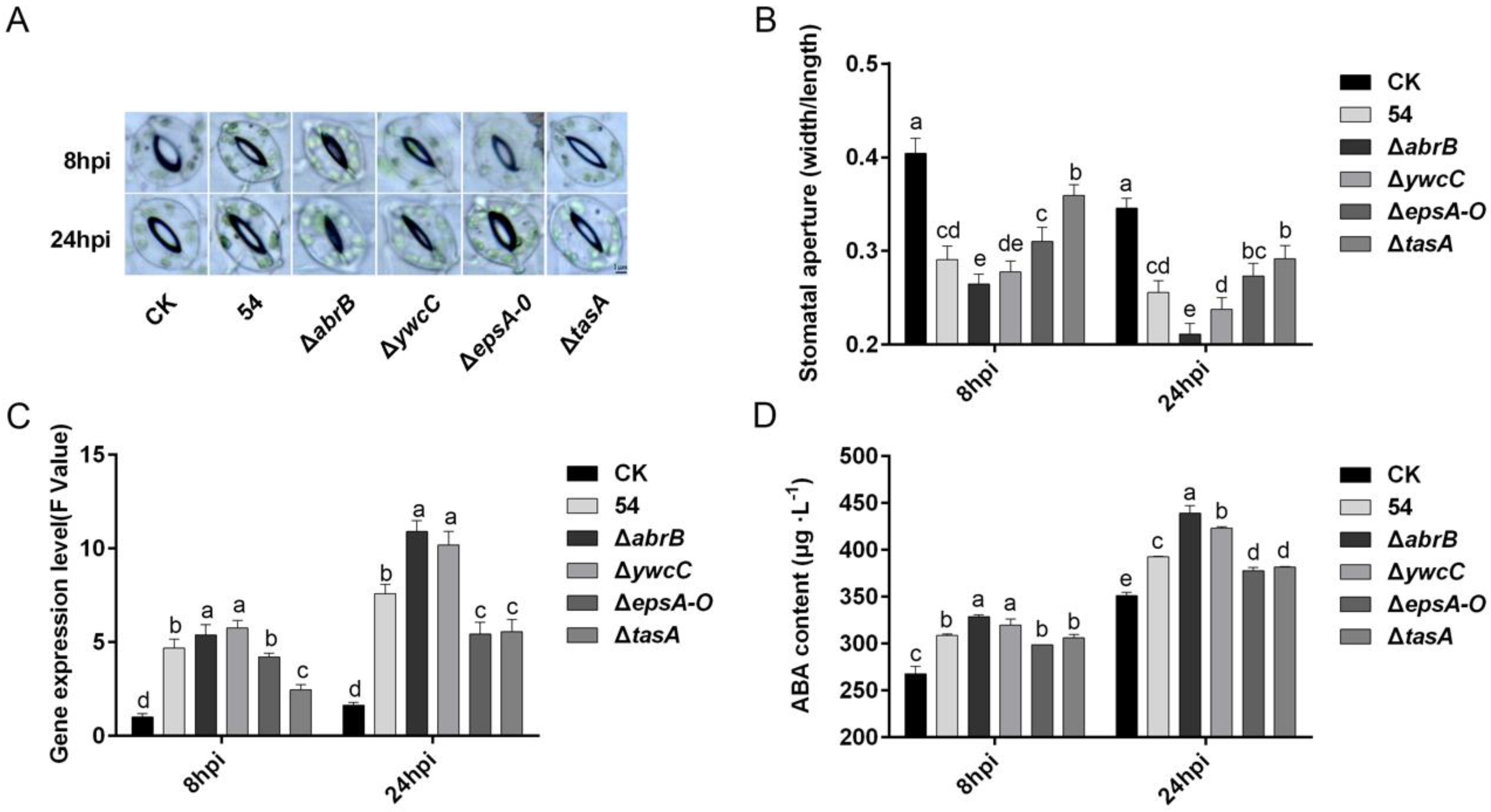 Ijms 20 06271 g005 Ijms 20 06271 g005