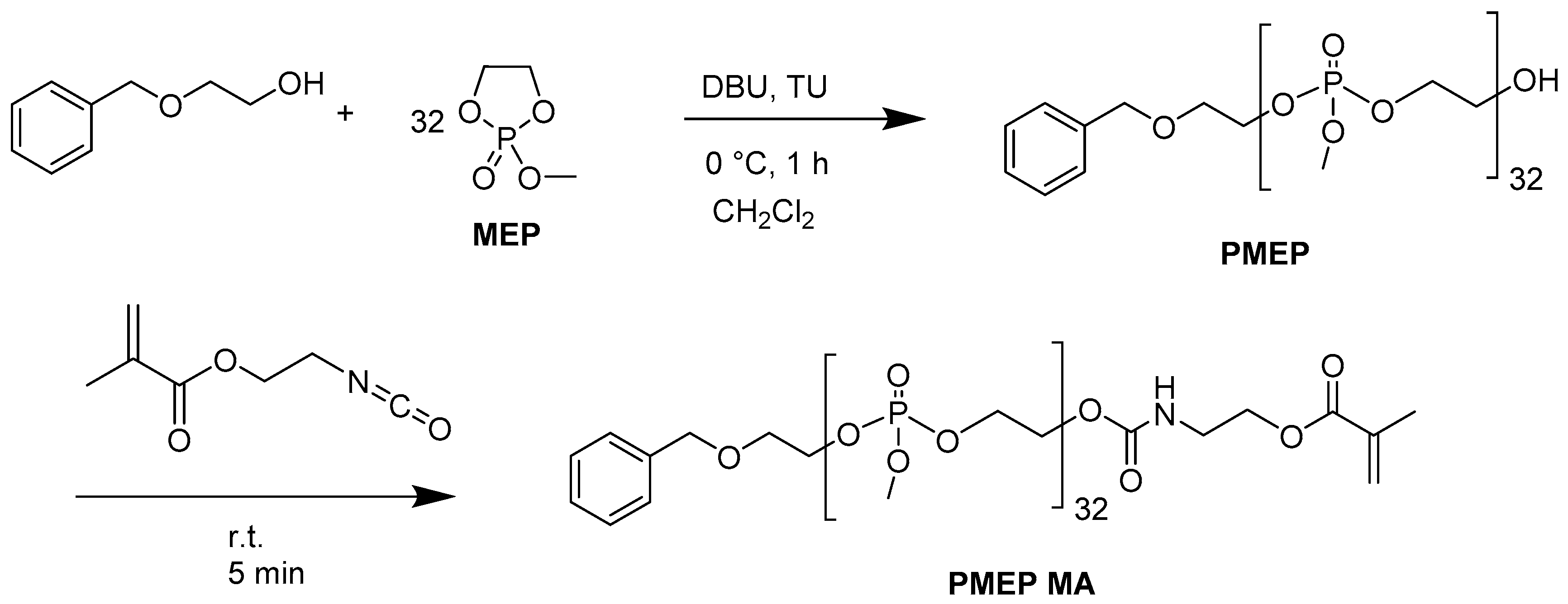 Ijms 20 06295 g002 Ijms 20 06295 g002