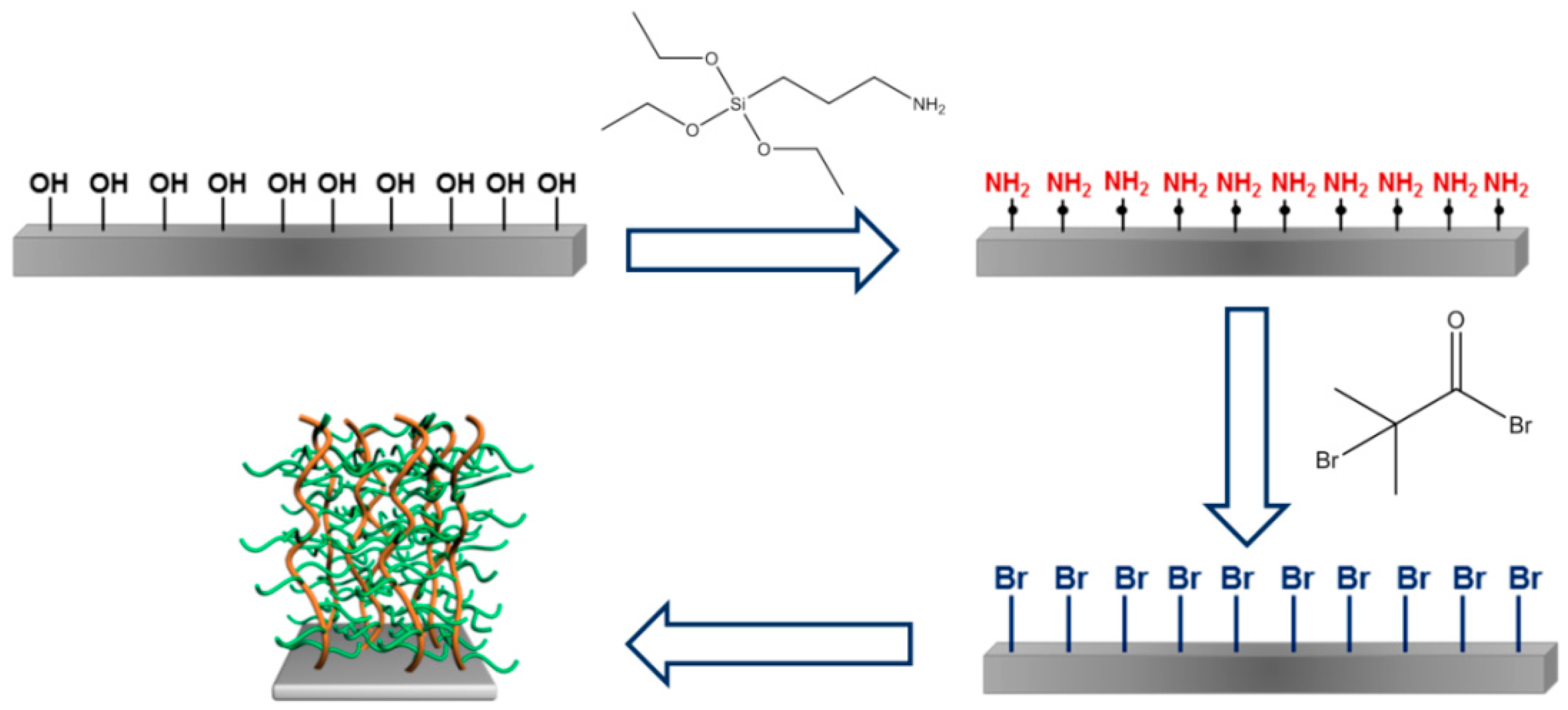 Ijms 20 06295 g003 Ijms 20 06295 g003