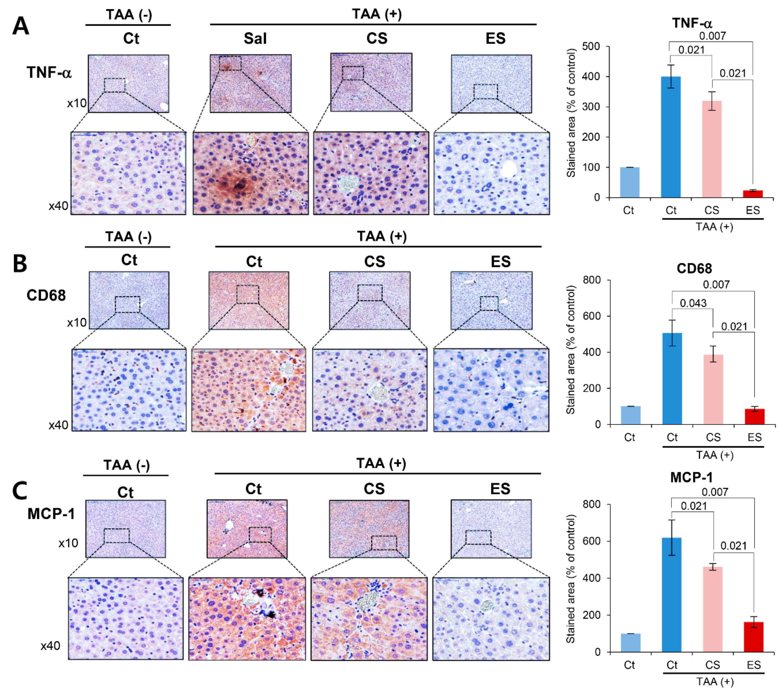 Ijms 20 06302 g004 Ijms 20 06302 g004